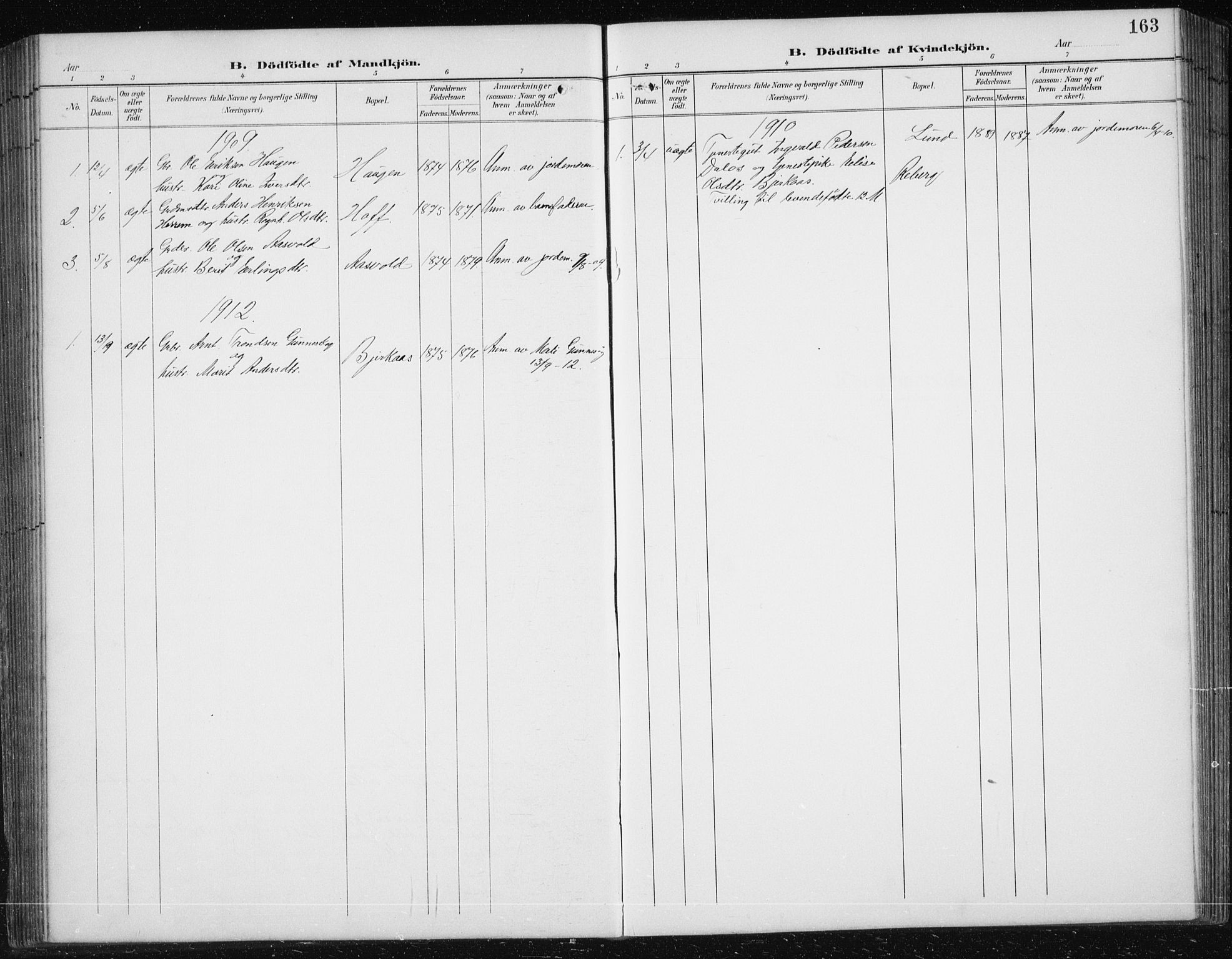 Ministerialprotokoller, klokkerbøker og fødselsregistre - Sør-Trøndelag, SAT/A-1456/674/L0876: Parish register (copy) no. 674C03, 1892-1912, p. 163