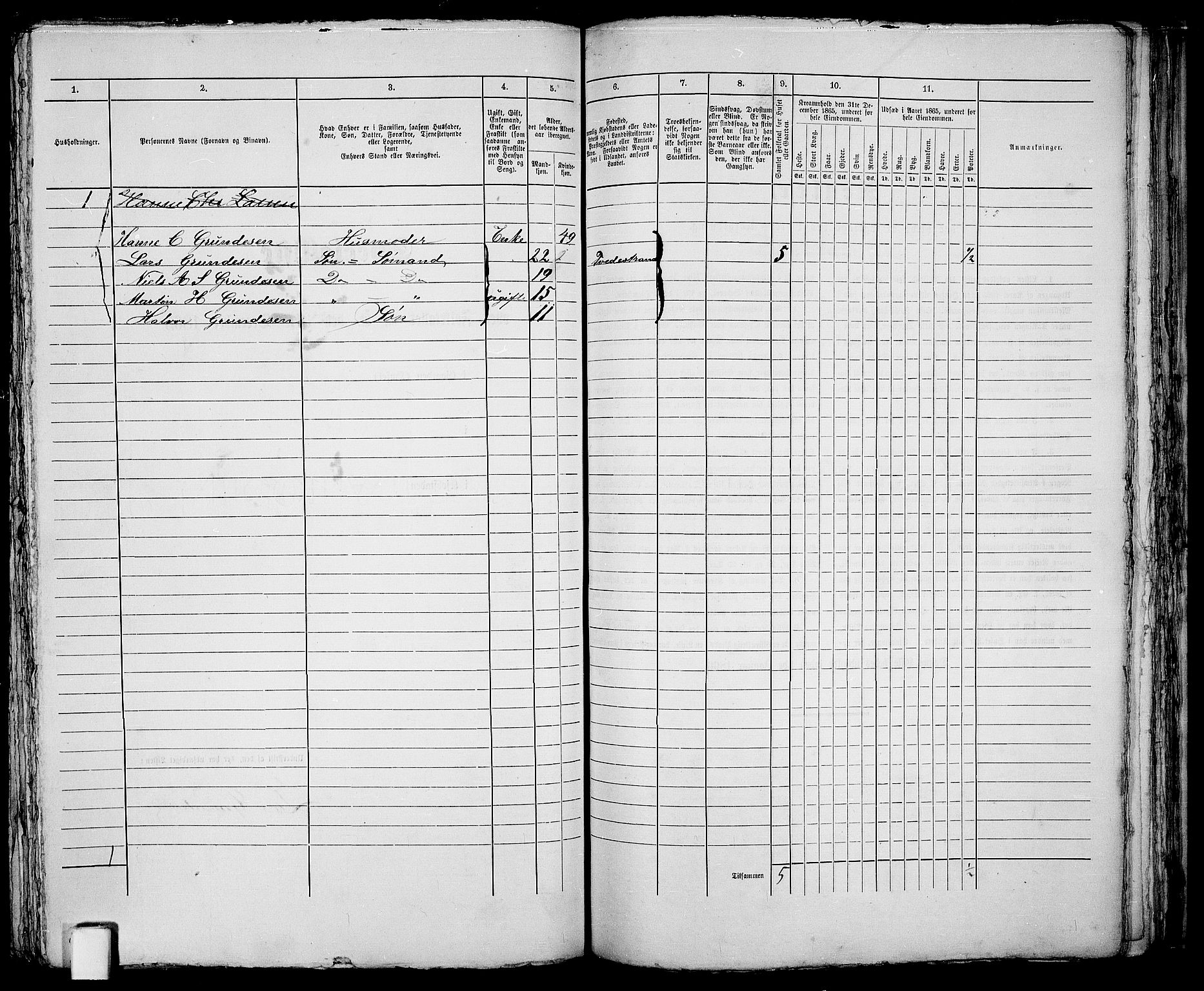 RA, 1865 census for Holt/Tvedestrand, 1865, p. 243