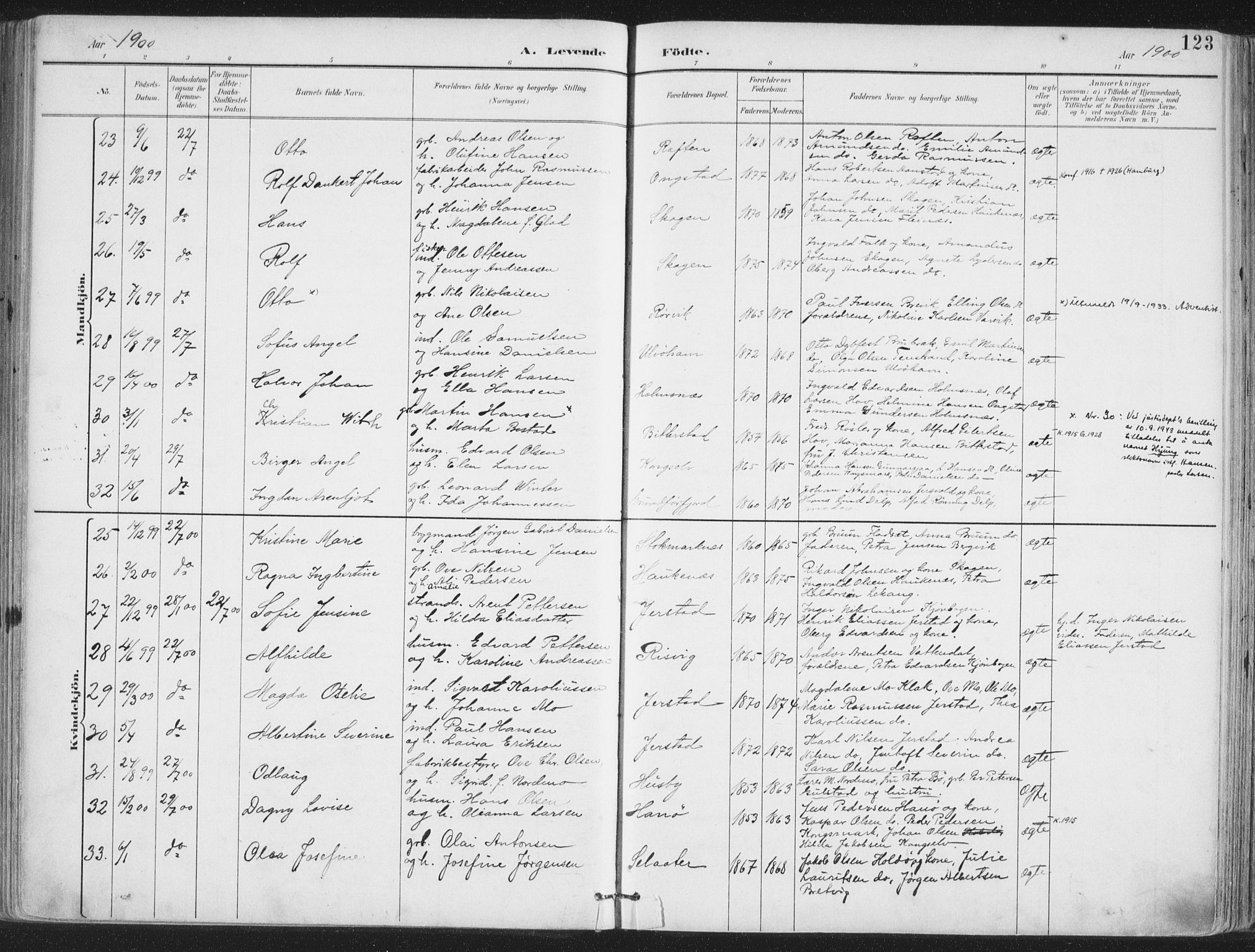 Ministerialprotokoller, klokkerbøker og fødselsregistre - Nordland, SAT/A-1459/888/L1246: Parish register (official) no. 888A12, 1891-1903, p. 123