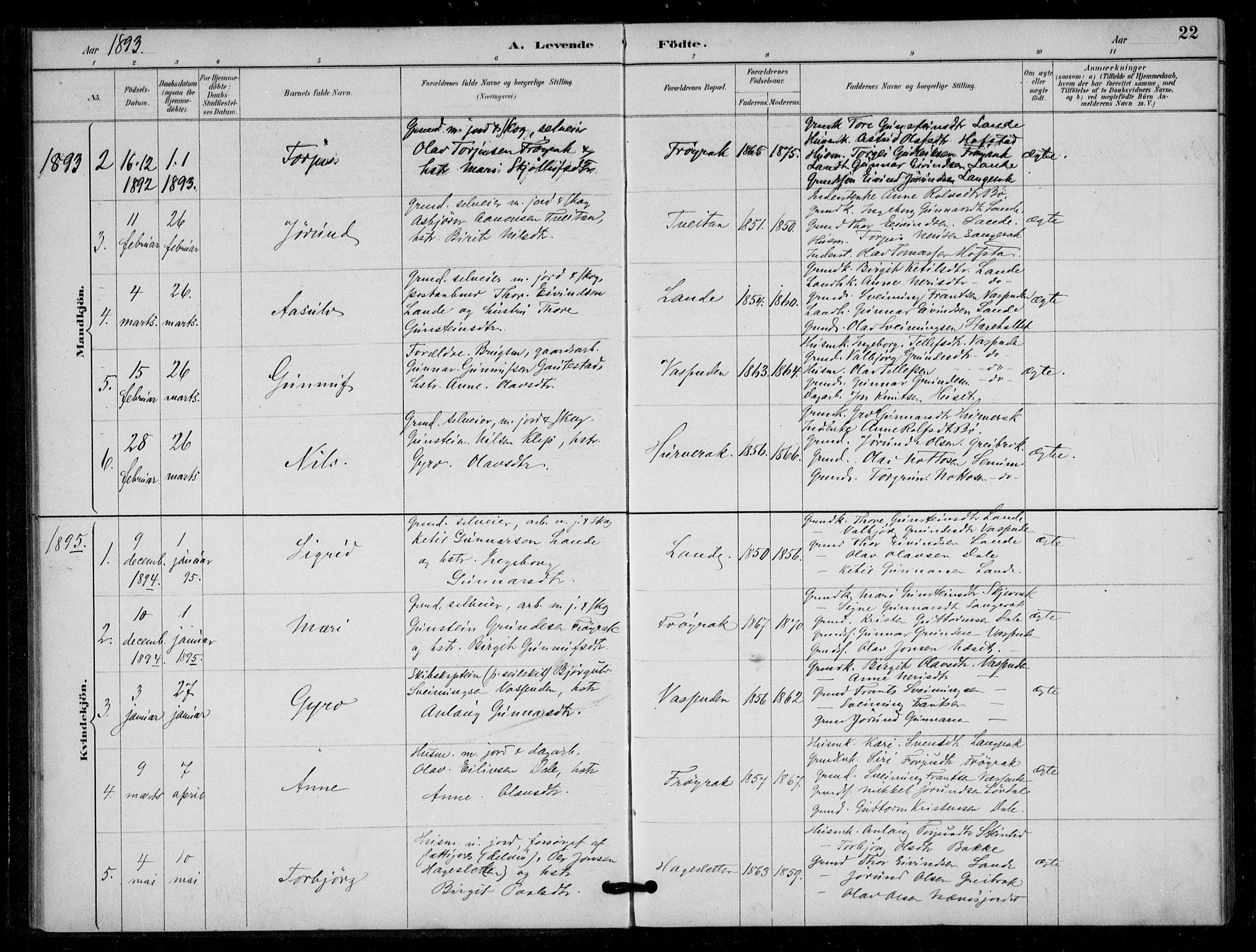 Bygland sokneprestkontor, SAK/1111-0006/F/Fa/Fad/L0001: Parish register (official) no. A 1, 1885-1906, p. 22
