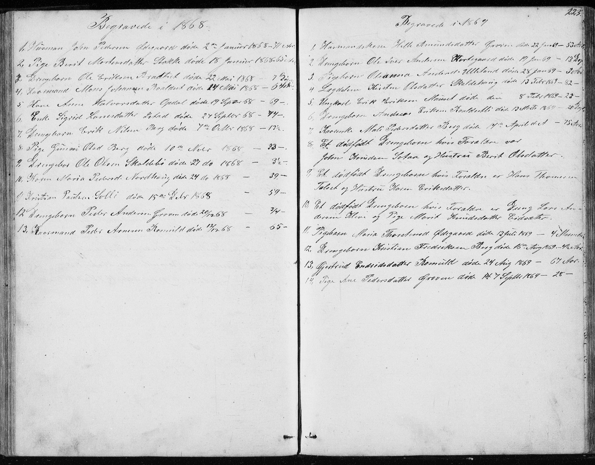 Ministerialprotokoller, klokkerbøker og fødselsregistre - Møre og Romsdal, AV/SAT-A-1454/557/L0684: Parish register (copy) no. 557C02, 1863-1944, p. 223