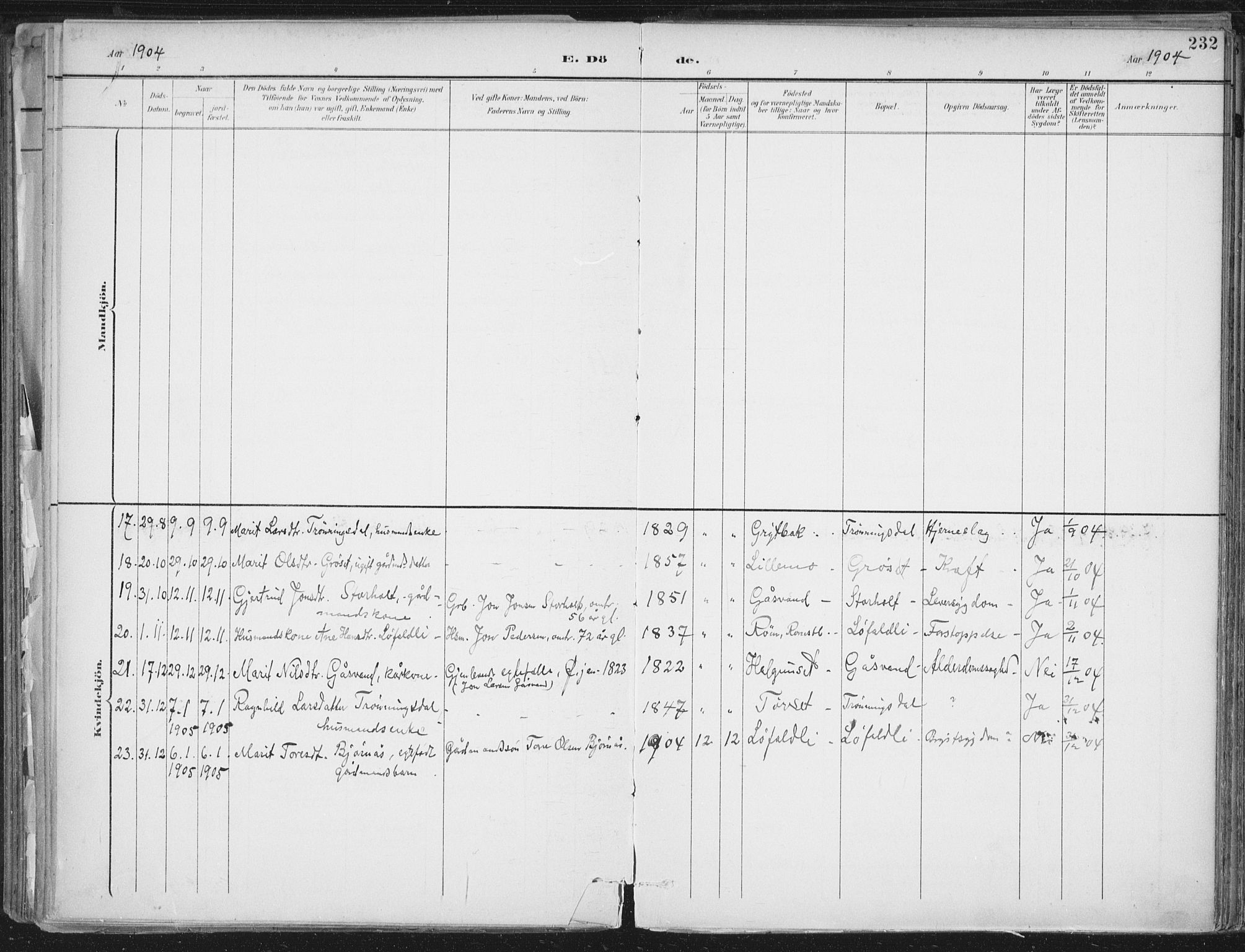 Ministerialprotokoller, klokkerbøker og fødselsregistre - Møre og Romsdal, AV/SAT-A-1454/598/L1072: Parish register (official) no. 598A06, 1896-1910, p. 232