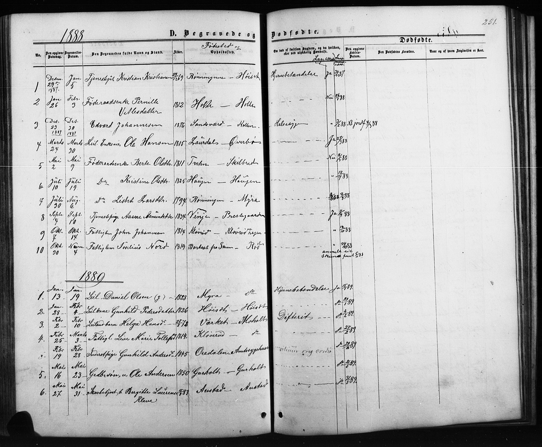Siljan kirkebøker, AV/SAKO-A-300/G/Ga/L0002: Parish register (copy) no. 2, 1864-1908, p. 251