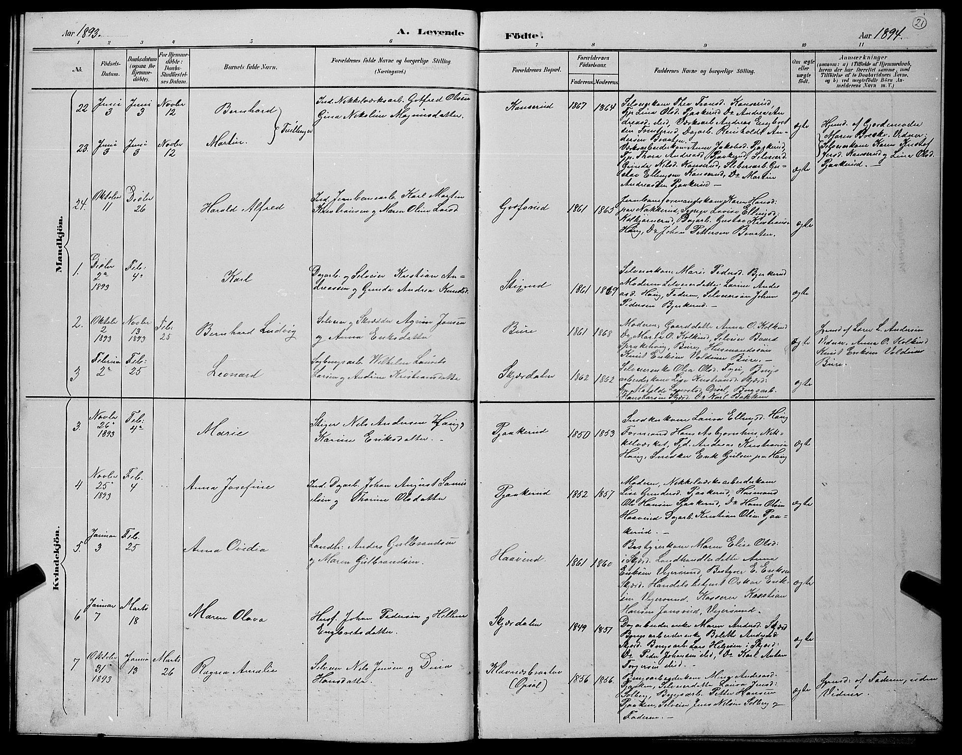 Hole kirkebøker, SAKO/A-228/G/Gb/L0003: Parish register (copy) no. II 3, 1890-1901, p. 21