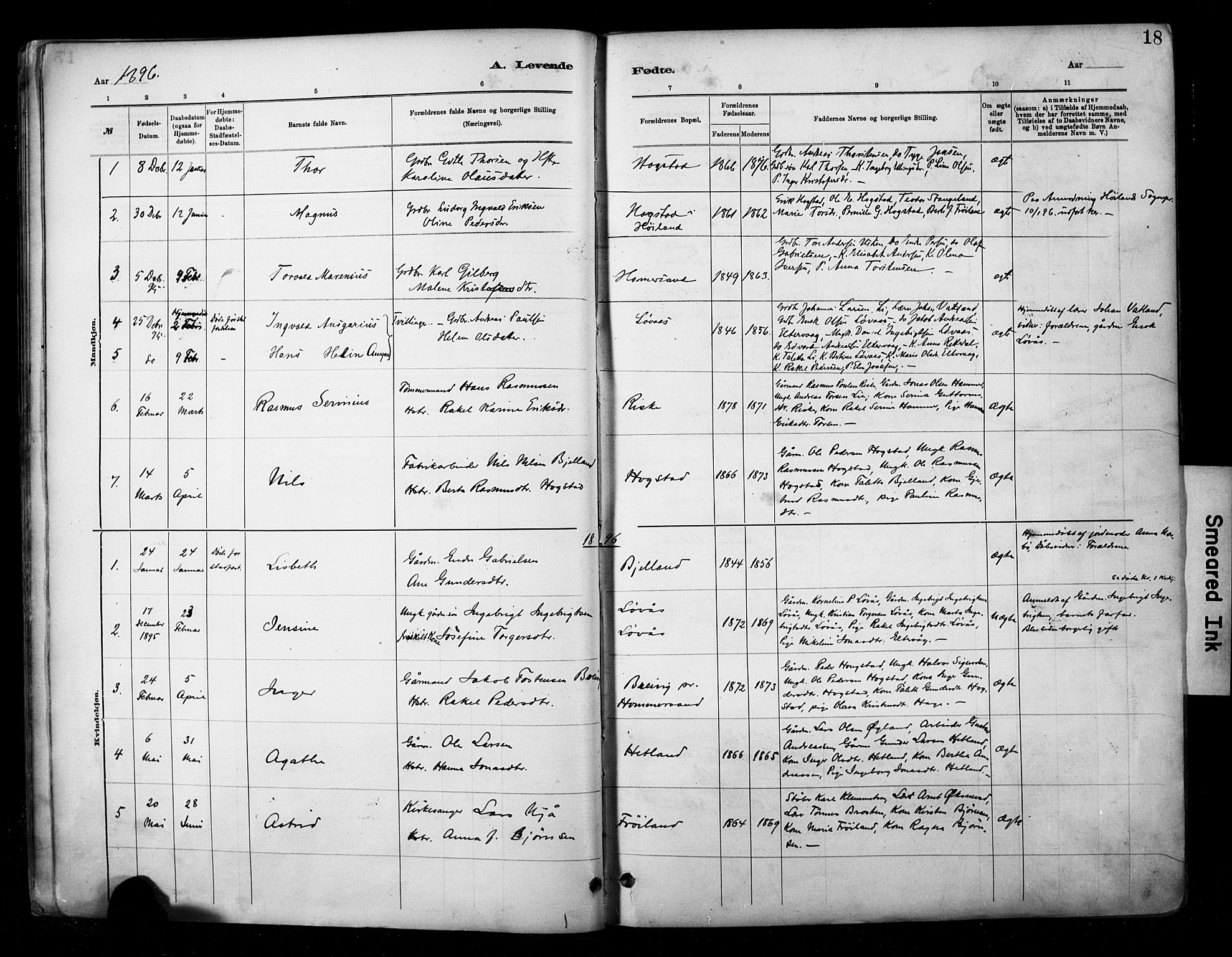 Hetland sokneprestkontor, AV/SAST-A-101826/30/30BA/L0010: Parish register (official) no. A 10, 1882-1925, p. 18