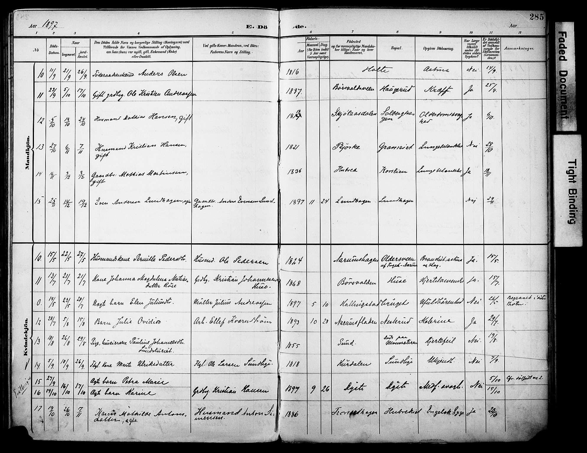Vestre Toten prestekontor, SAH/PREST-108/H/Ha/Haa/L0013: Parish register (official) no. 13, 1895-1911, p. 285
