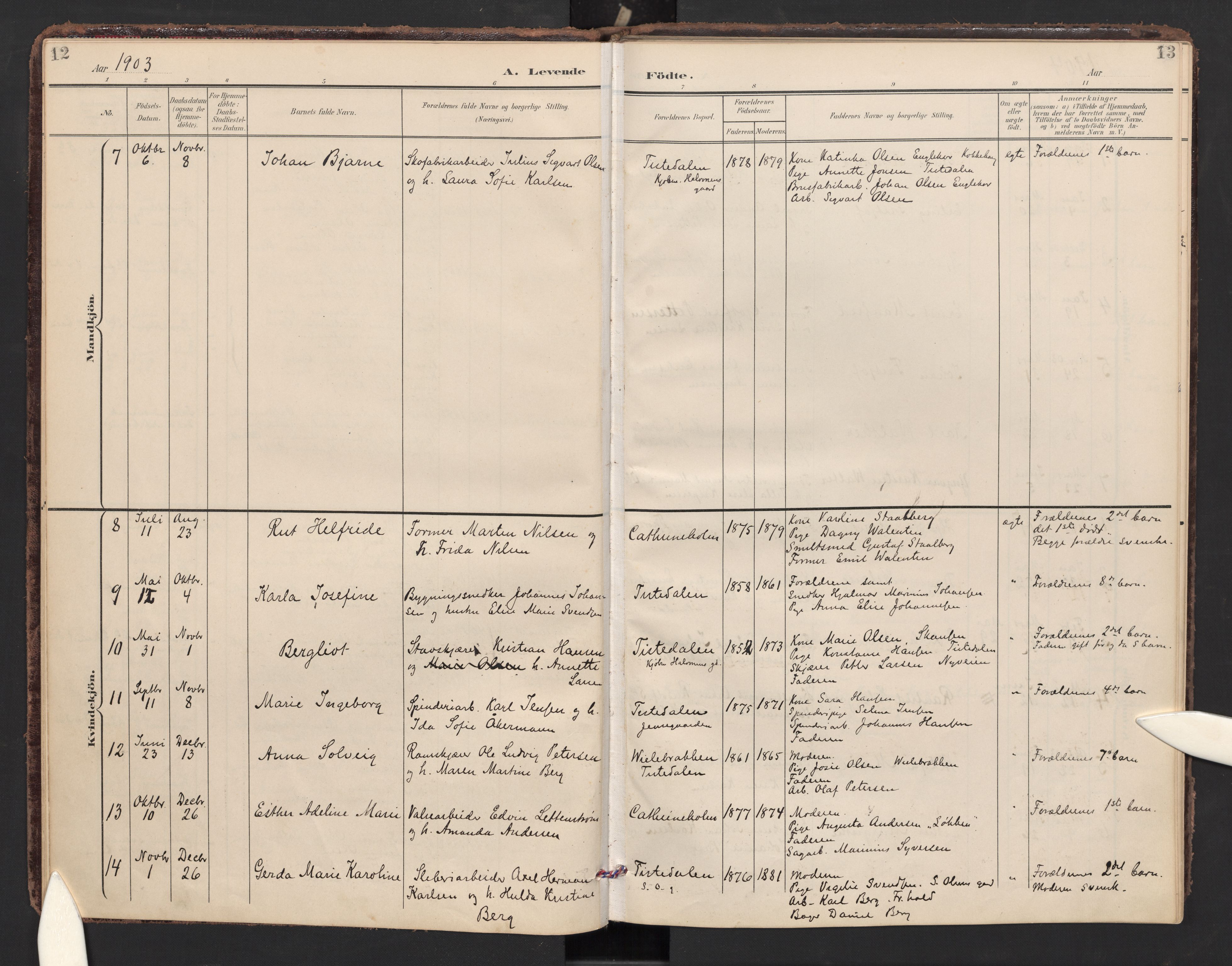 Halden prestekontor Kirkebøker, SAO/A-10909/F/Fc/L0001: Parish register (official) no. III 1, 1902-1908, p. 12-13