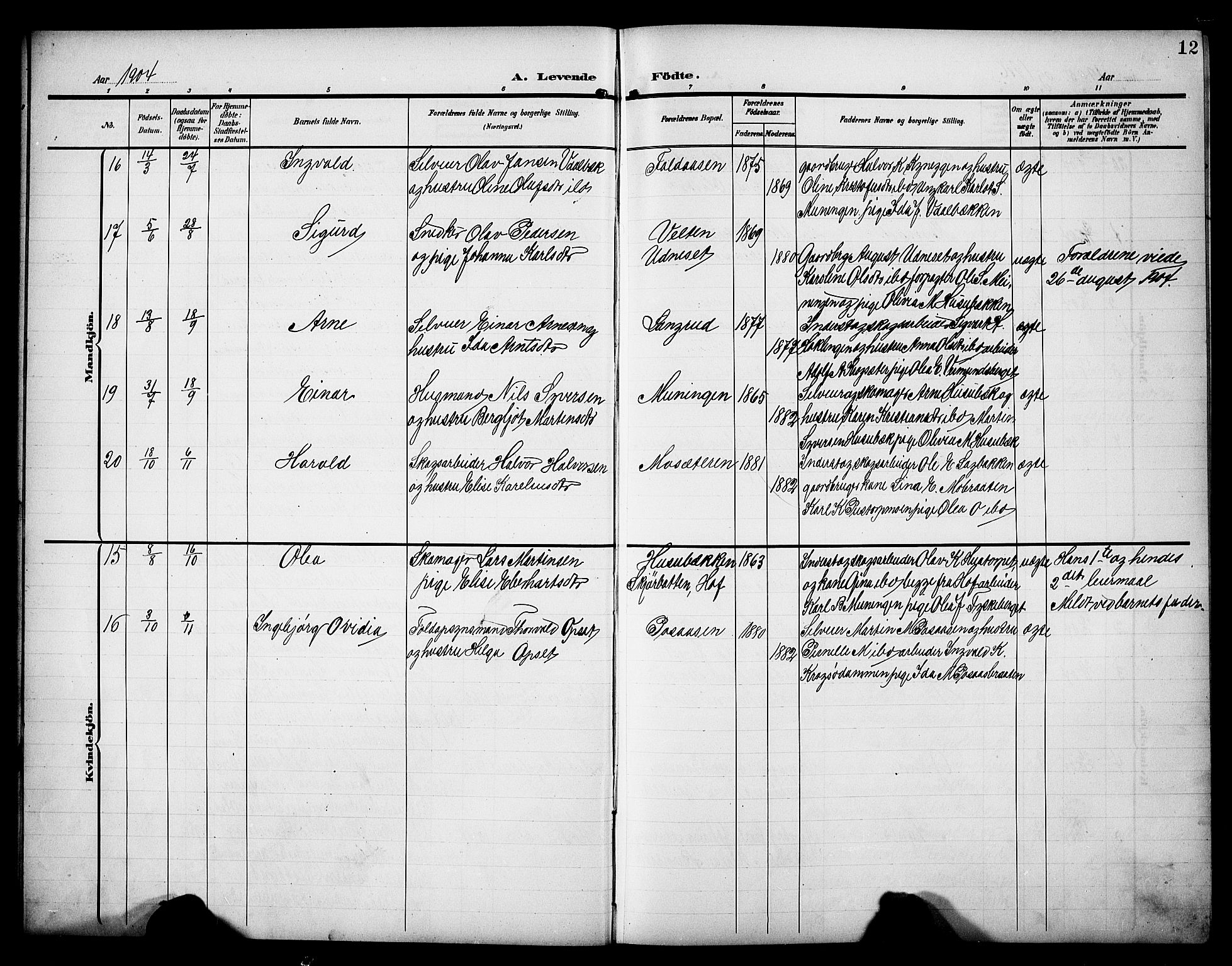 Åsnes prestekontor, AV/SAH-PREST-042/H/Ha/Hab/L0006: Parish register (copy) no. 6, 1903-1929, p. 12