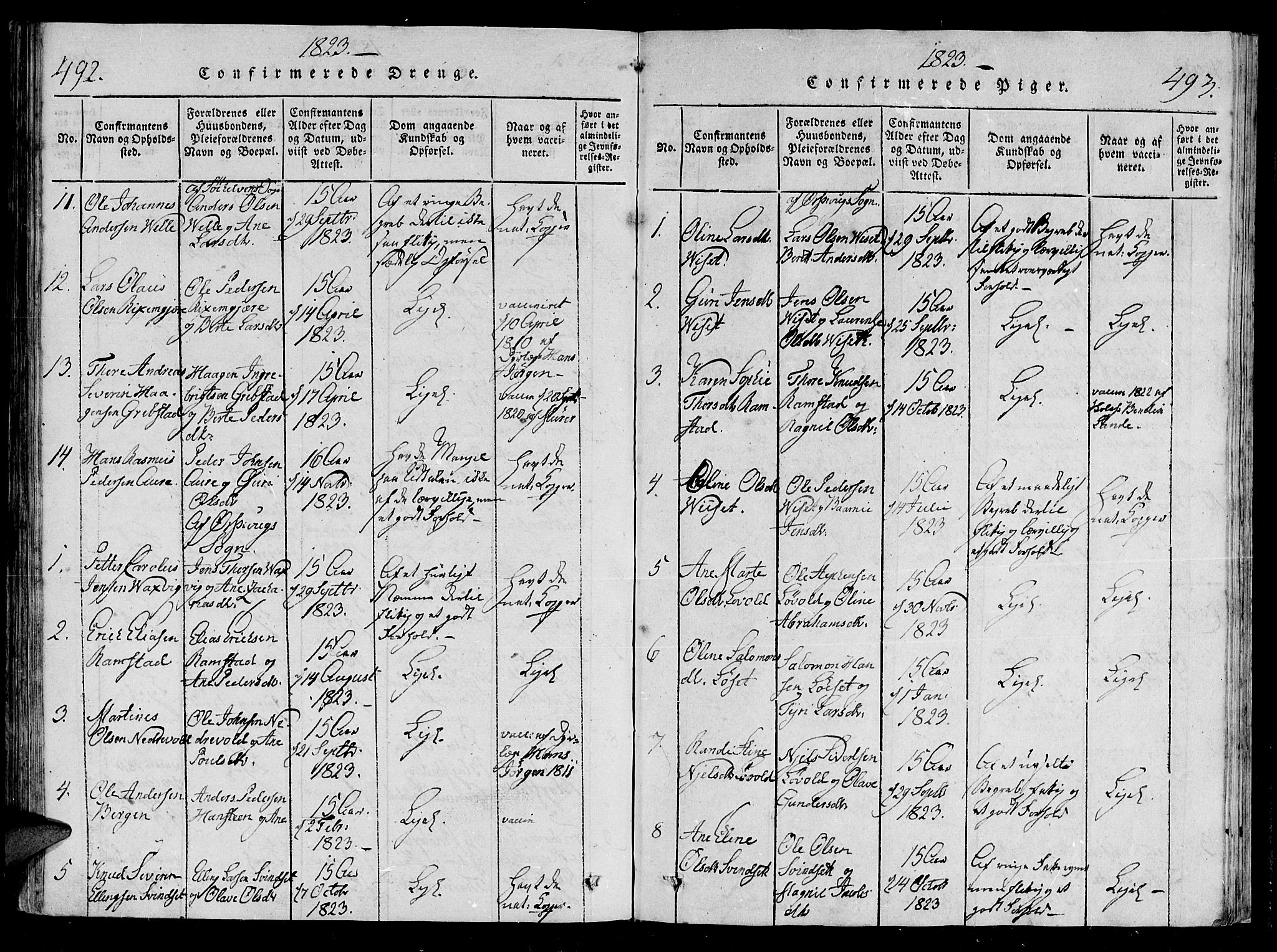 Ministerialprotokoller, klokkerbøker og fødselsregistre - Møre og Romsdal, SAT/A-1454/522/L0310: Parish register (official) no. 522A05, 1816-1832, p. 492-493