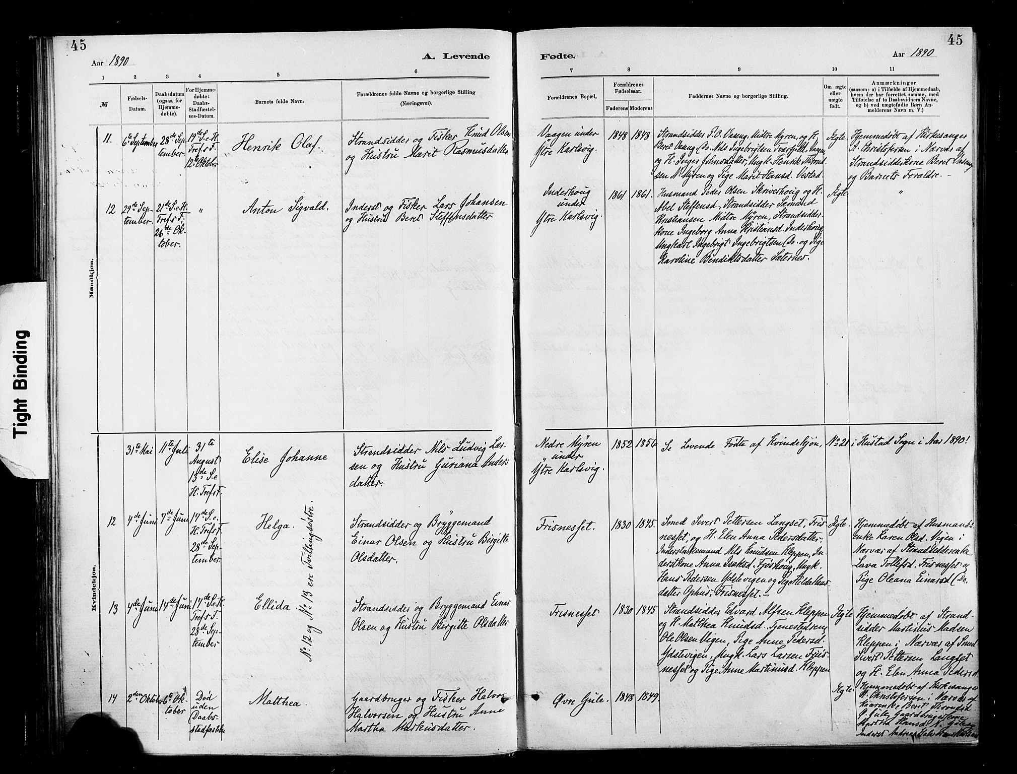 Ministerialprotokoller, klokkerbøker og fødselsregistre - Møre og Romsdal, AV/SAT-A-1454/566/L0769: Parish register (official) no. 566A08, 1881-1903, p. 45