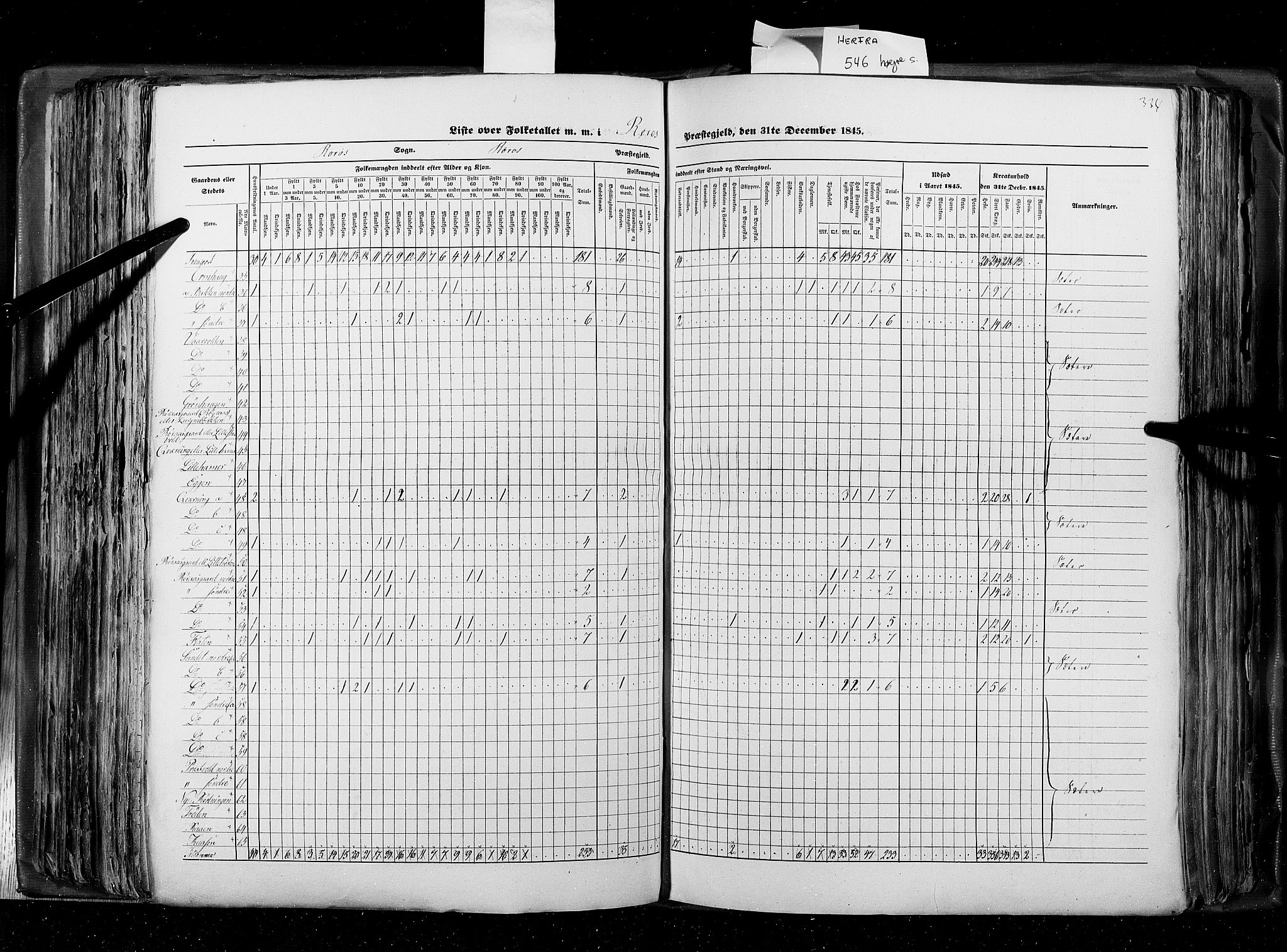 RA, Census 1845, vol. 8: Romsdal amt og Søndre Trondhjems amt, 1845, p. 334