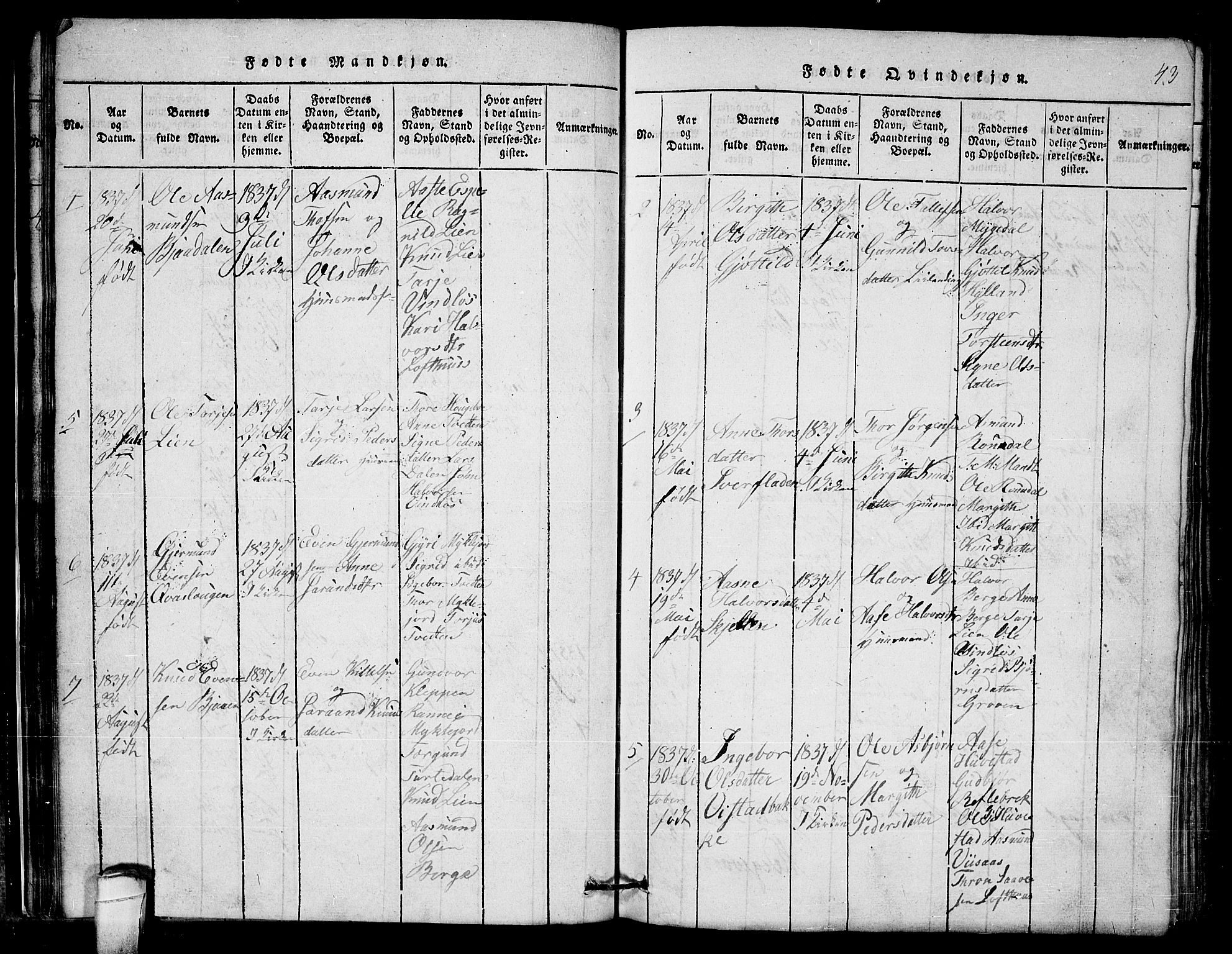 Lårdal kirkebøker, SAKO/A-284/G/Gb/L0001: Parish register (copy) no. II 1, 1815-1865, p. 43