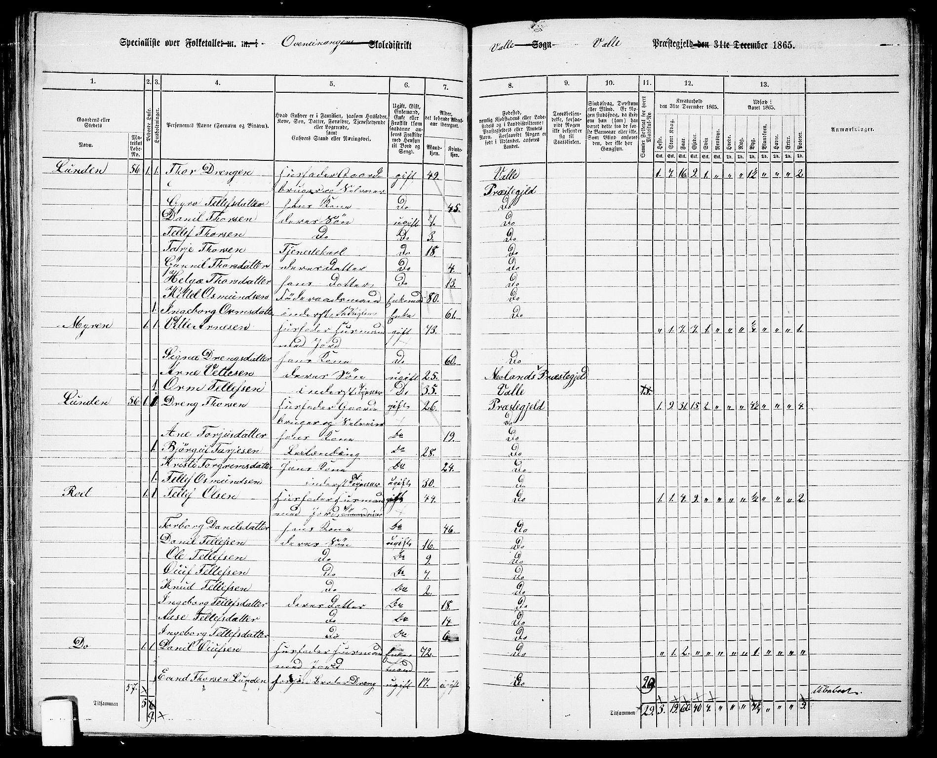 RA, 1865 census for Valle, 1865, p. 56