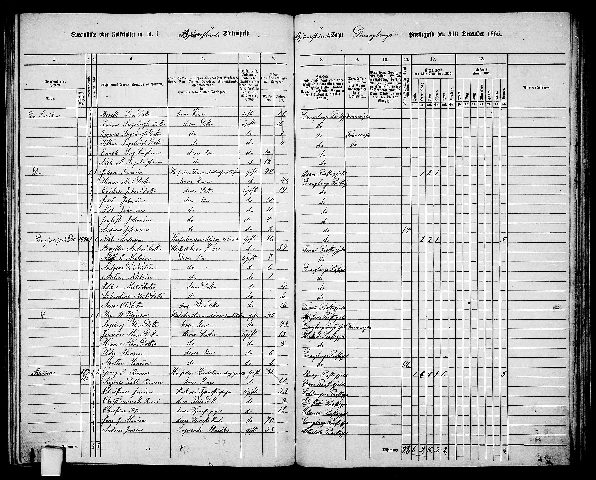 RA, 1865 census for Dverberg, 1865, p. 34