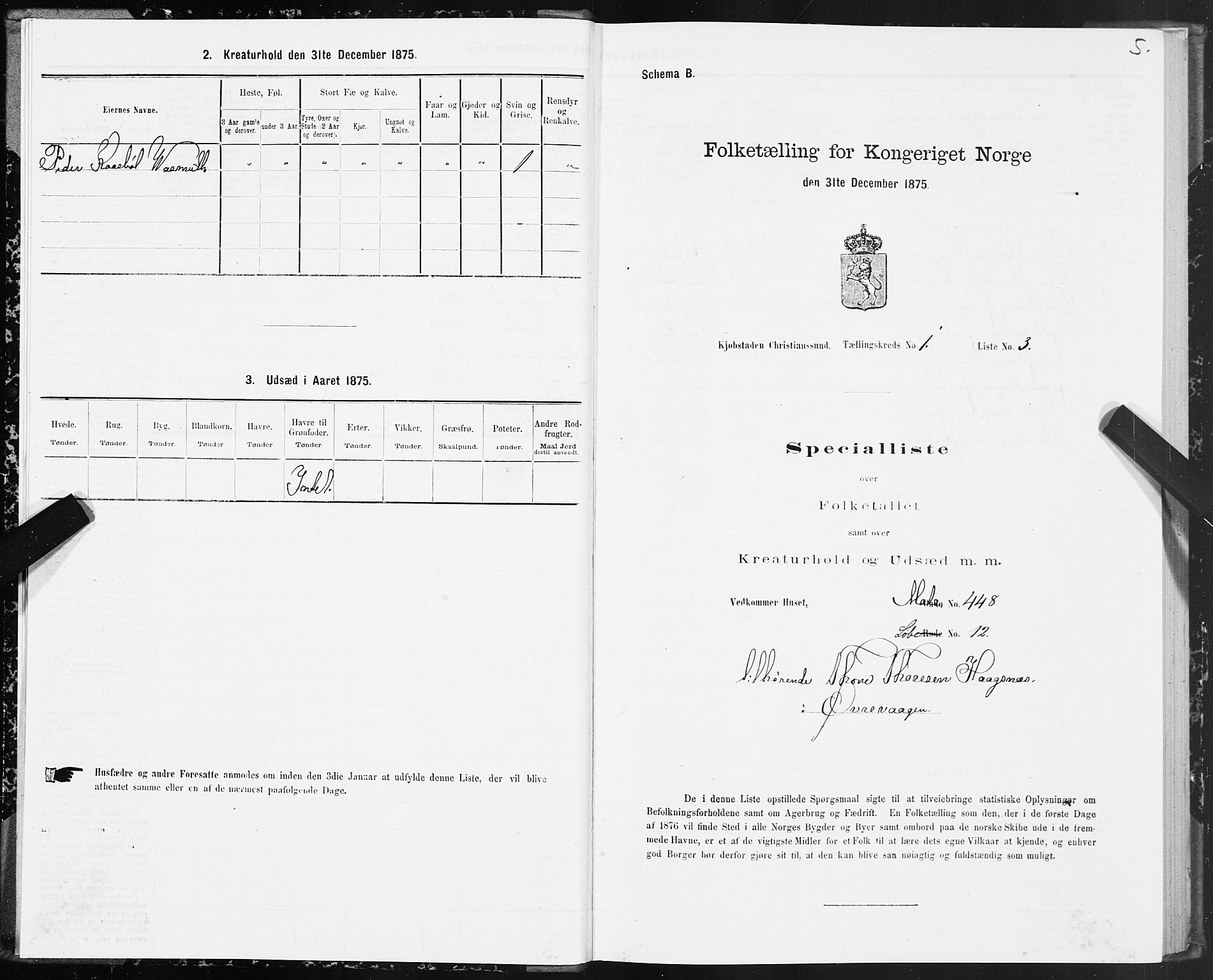 SAT, 1875 census for 1503B Kristiansund/Kristiansund, 1875, p. 1005