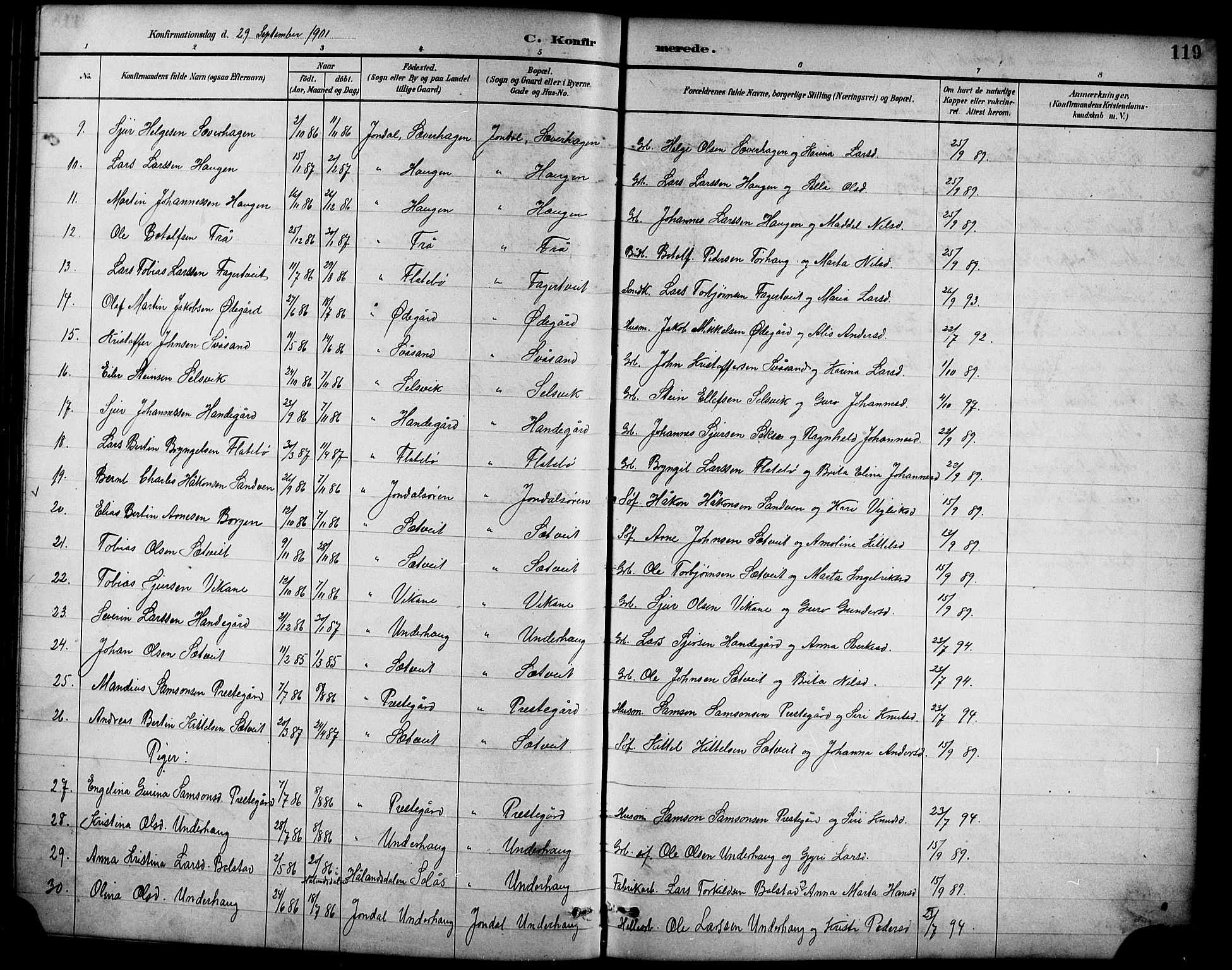 Ullensvang sokneprestembete, AV/SAB-A-78701/H/Hab: Parish register (copy) no. D 1, 1891-1908, p. 119