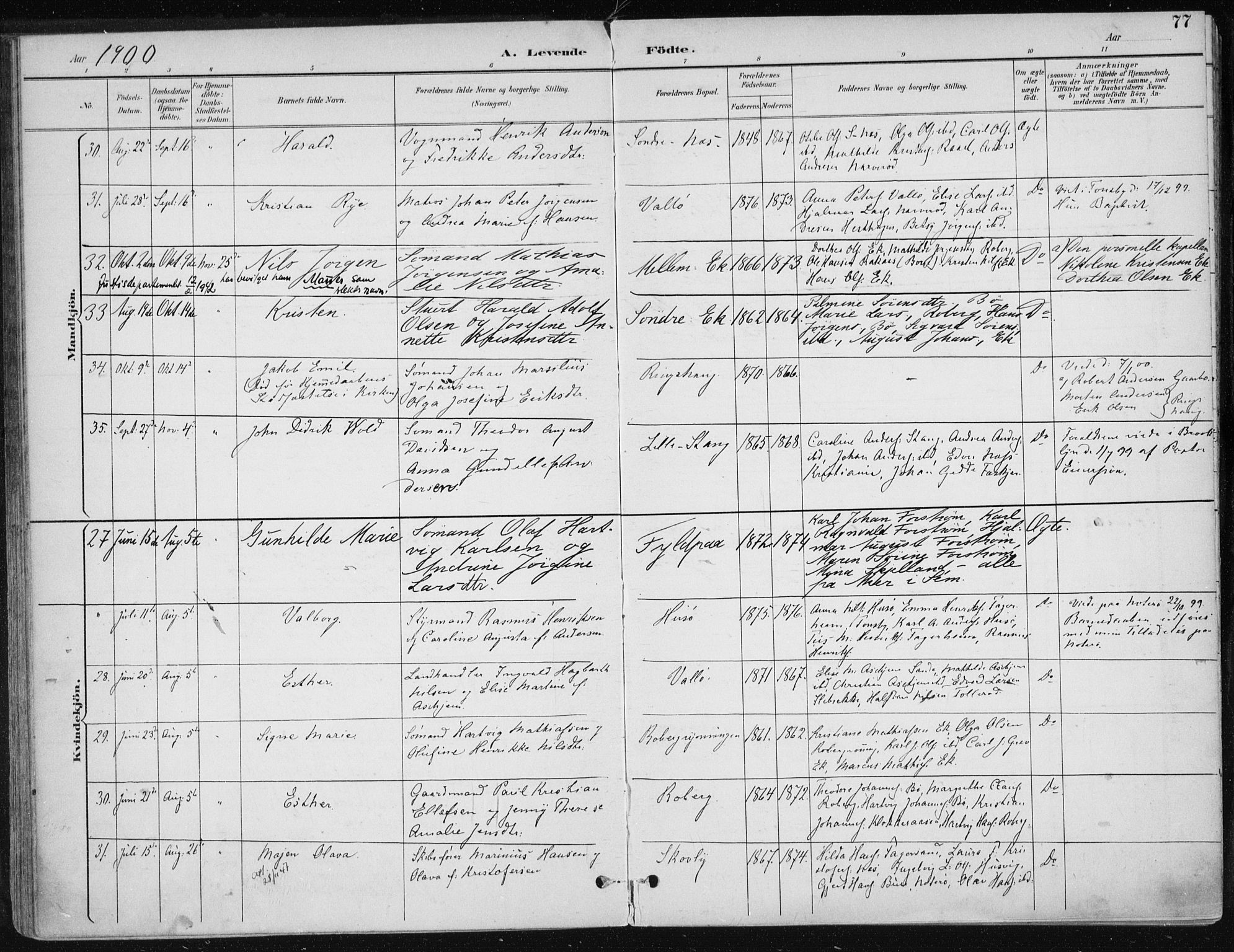 Sem kirkebøker, AV/SAKO-A-5/F/Fb/L0005: Parish register (official) no. II 5, 1892-1904, p. 77