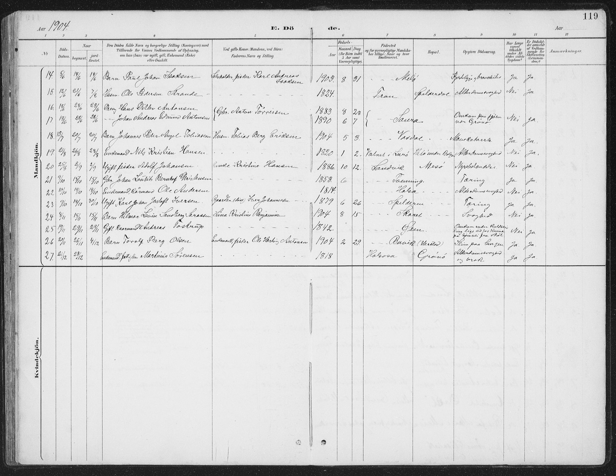 Ministerialprotokoller, klokkerbøker og fødselsregistre - Nordland, AV/SAT-A-1459/843/L0638: Parish register (copy) no. 843C07, 1888-1907, p. 119