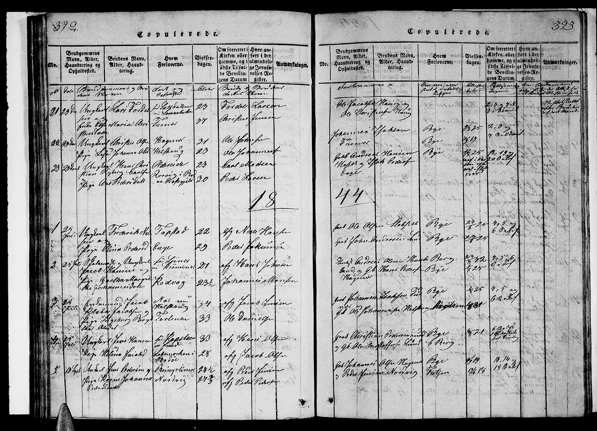 Ministerialprotokoller, klokkerbøker og fødselsregistre - Nordland, AV/SAT-A-1459/852/L0752: Parish register (copy) no. 852C03, 1840-1855, p. 392-393