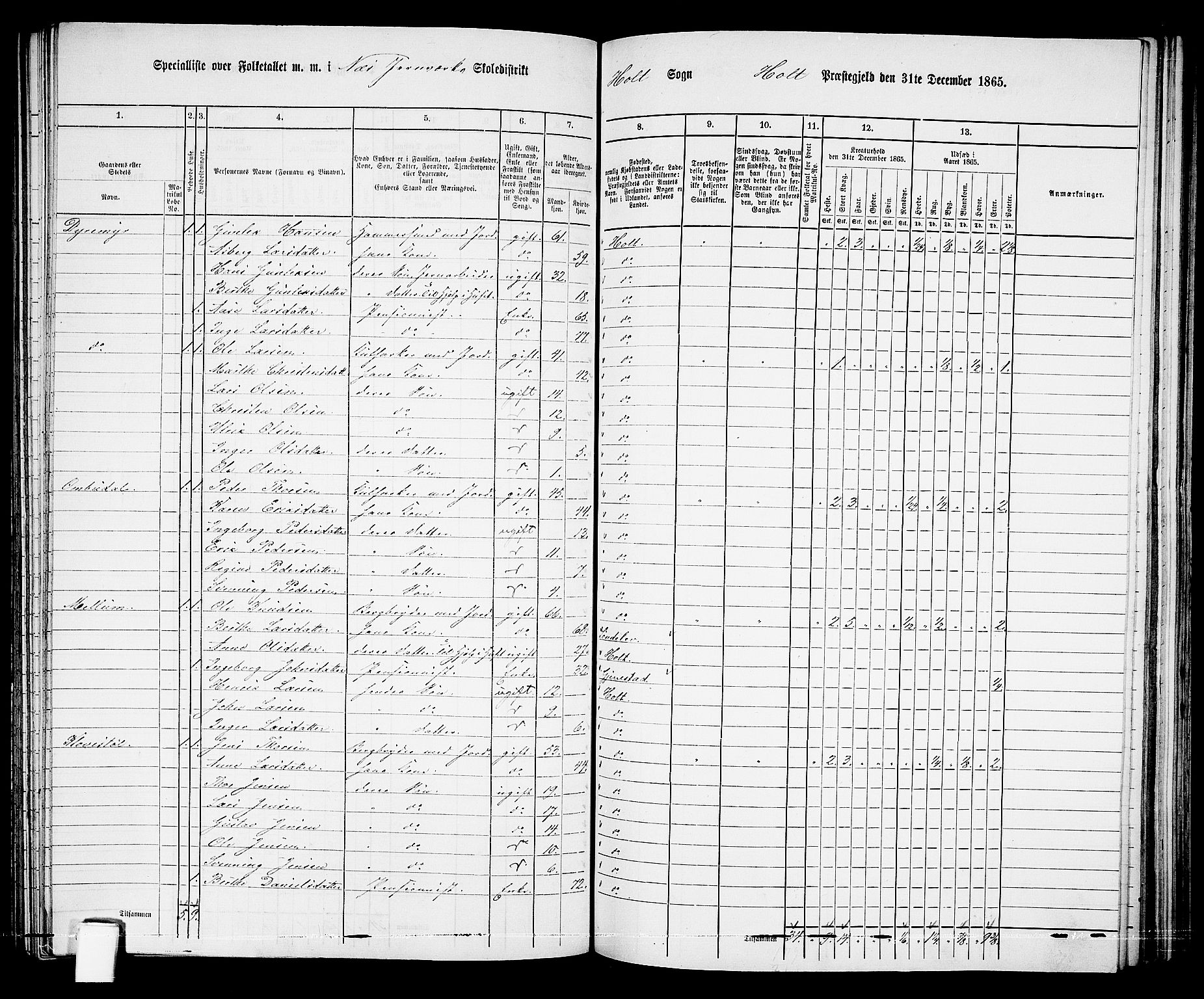 RA, 1865 census for Holt/Holt, 1865, p. 113