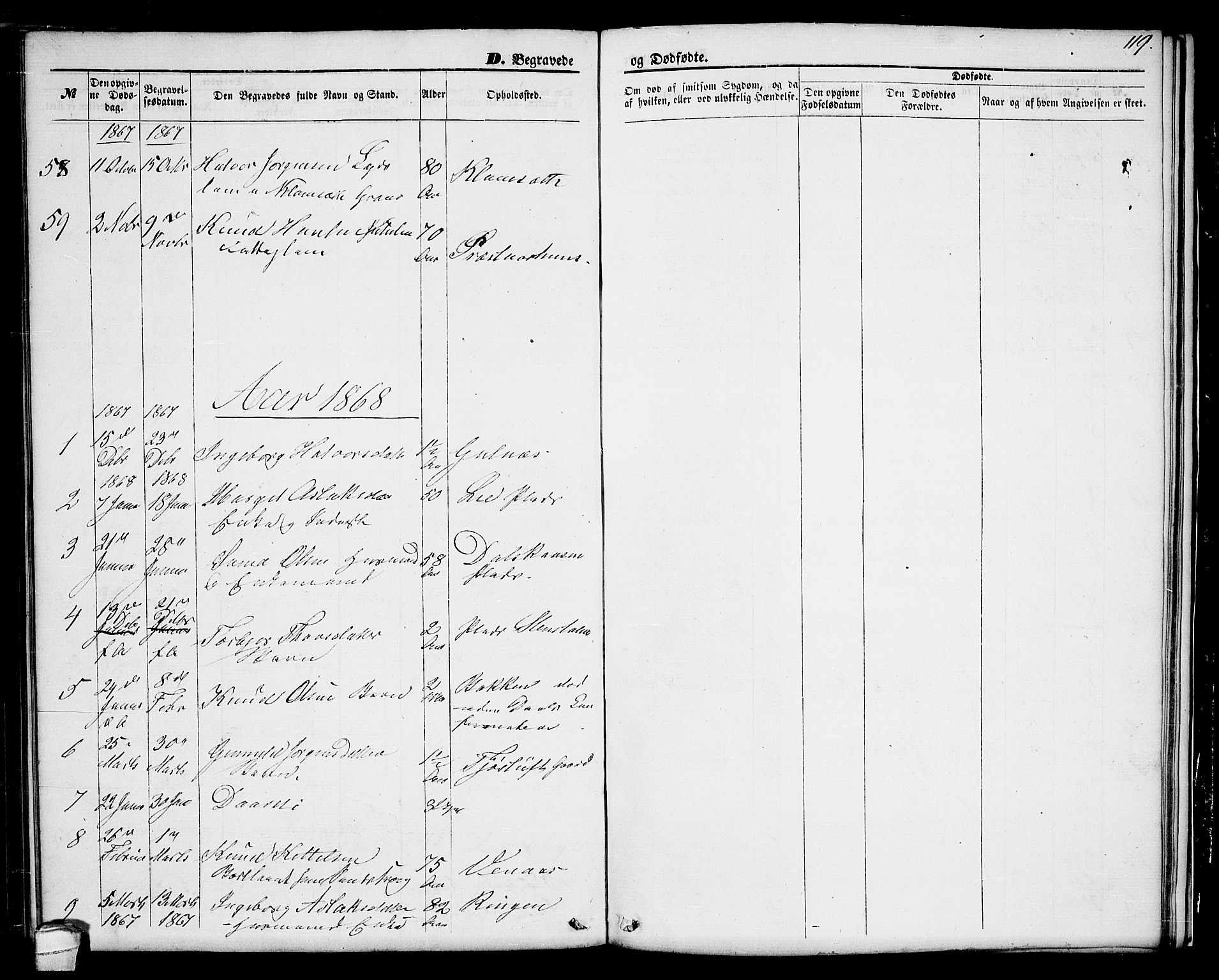 Seljord kirkebøker, SAKO/A-20/G/Ga/L0003: Parish register (copy) no. I 3, 1866-1873, p. 119