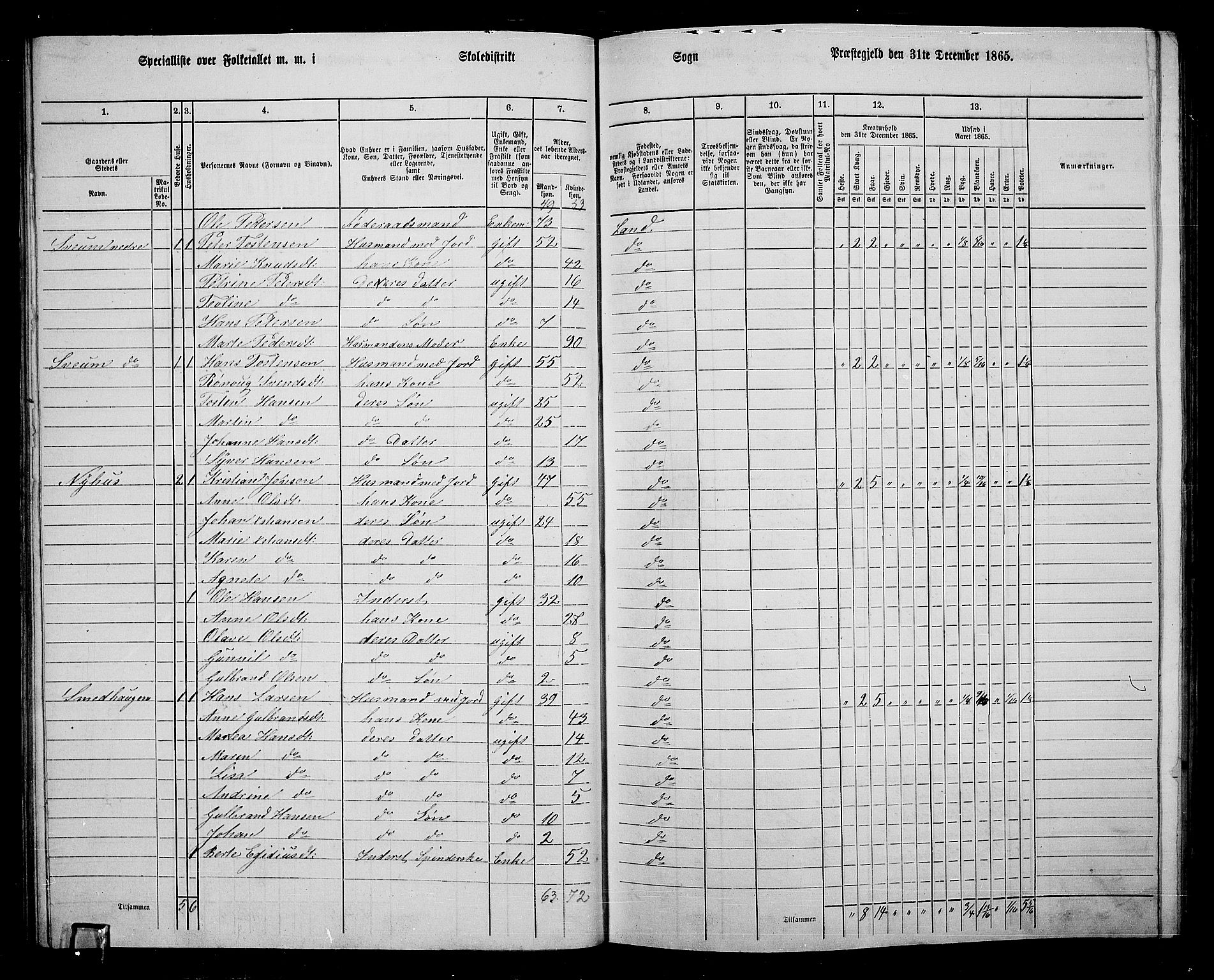 RA, 1865 census for Land, 1865, p. 273