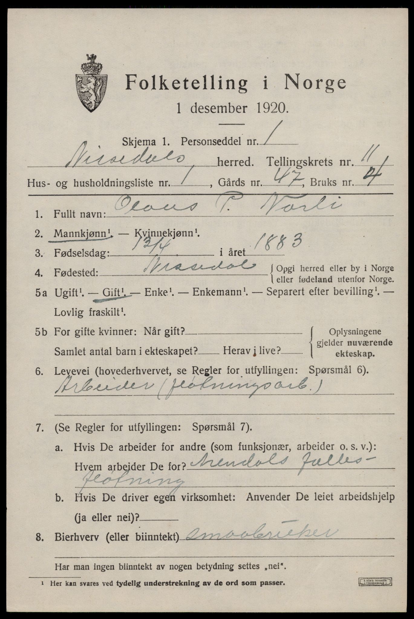 SAKO, 1920 census for Nissedal, 1920, p. 4395