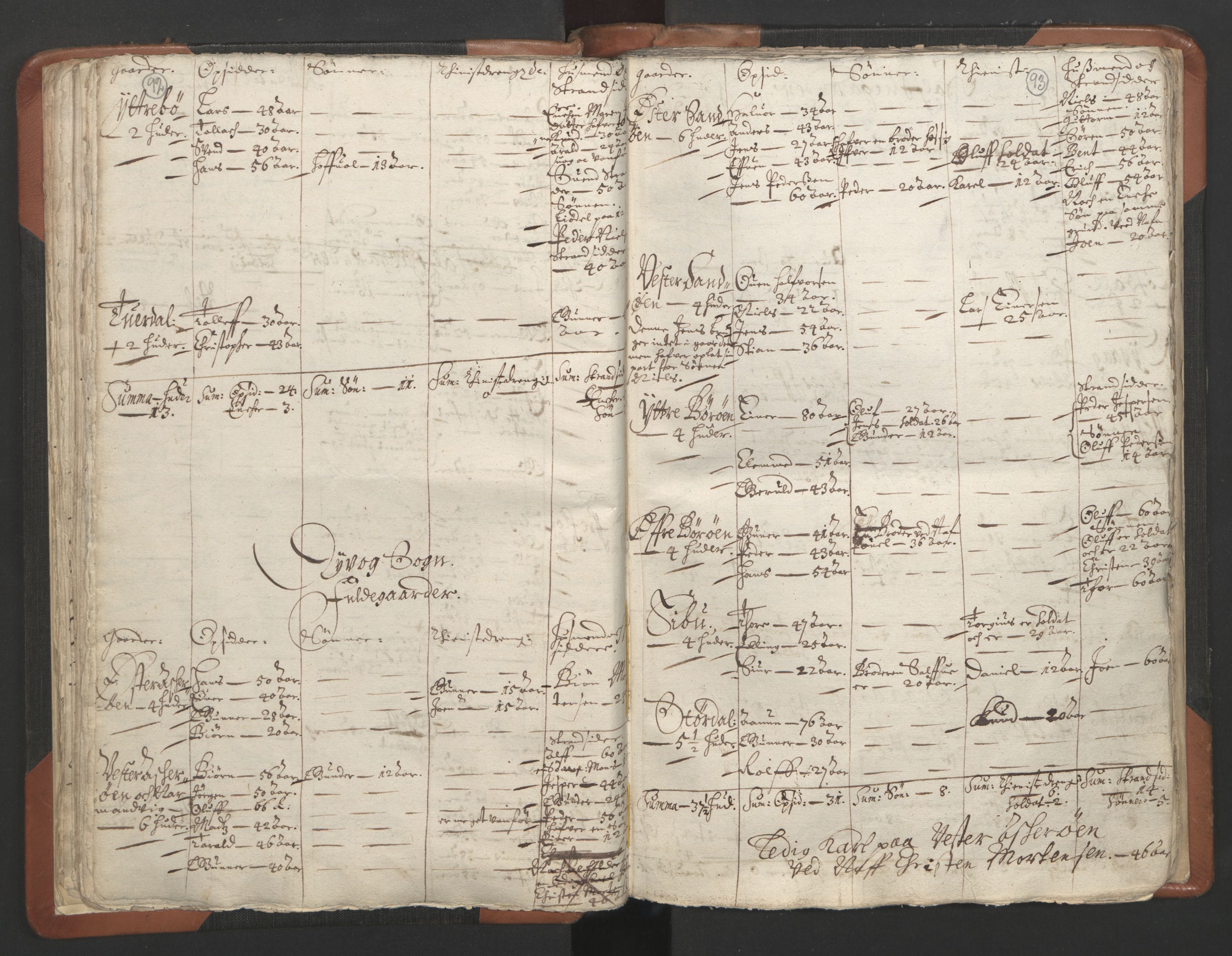 RA, Vicar's Census 1664-1666, no. 13: Nedenes deanery, 1664-1666, p. 92-93