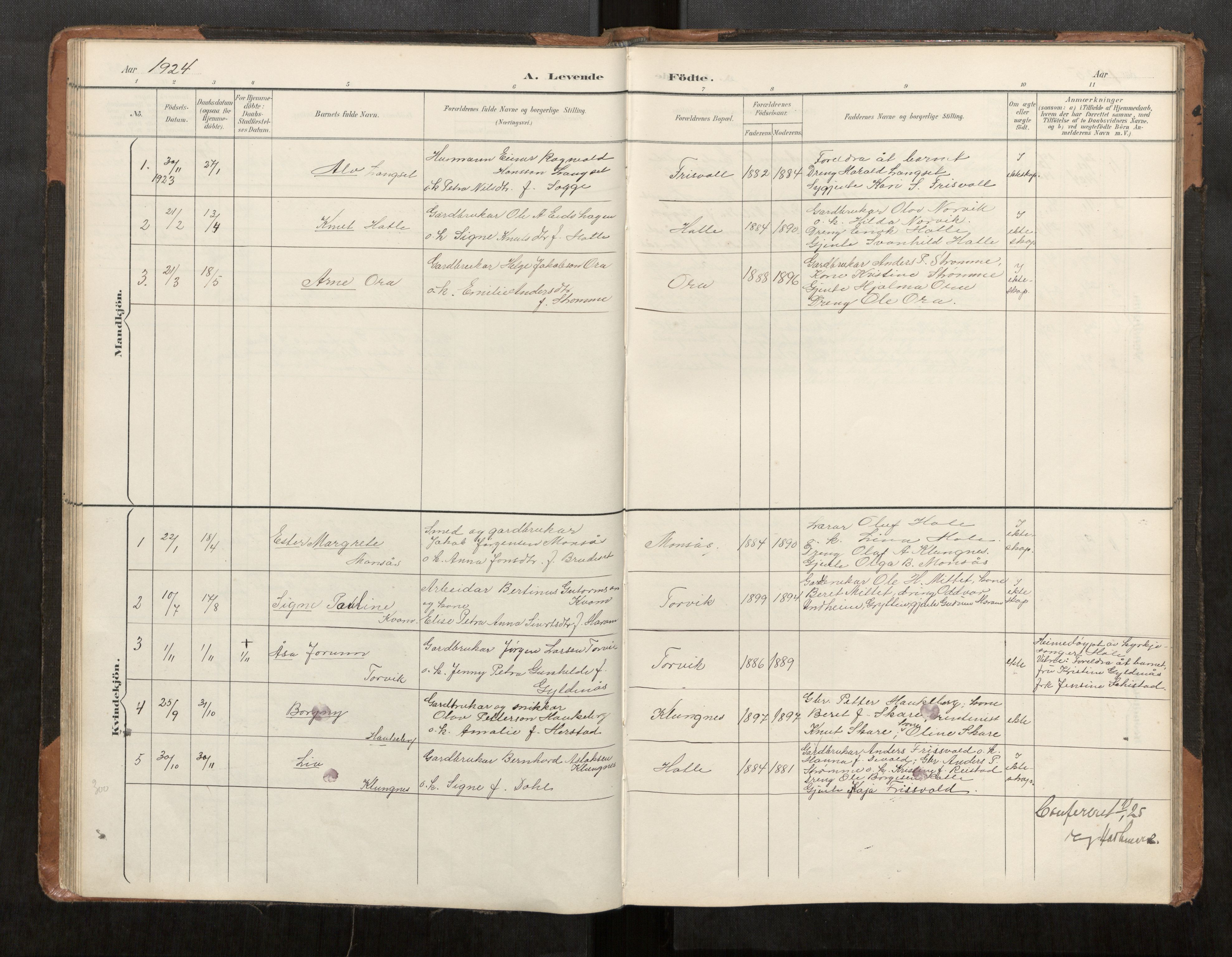 Ministerialprotokoller, klokkerbøker og fødselsregistre - Møre og Romsdal, AV/SAT-A-1454/542/L0561: Parish register (copy) no. 542C03, 1893-1931