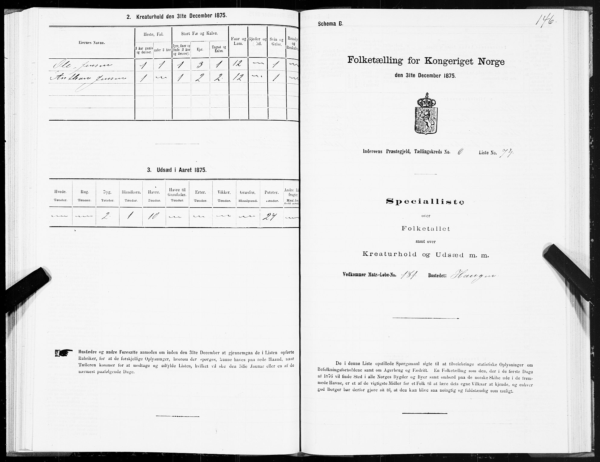 SAT, 1875 census for 1729P Inderøy, 1875, p. 4146