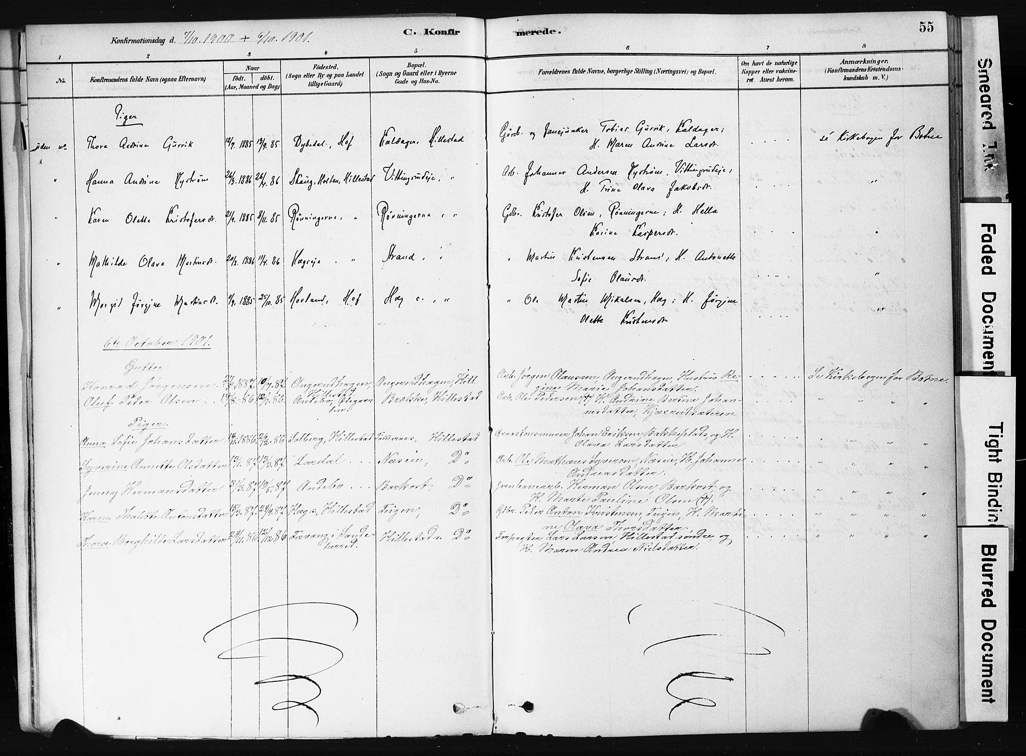 Botne kirkebøker, AV/SAKO-A-340/F/Fb/L0001: Parish register (official) no. II 1, 1878-1902, p. 55