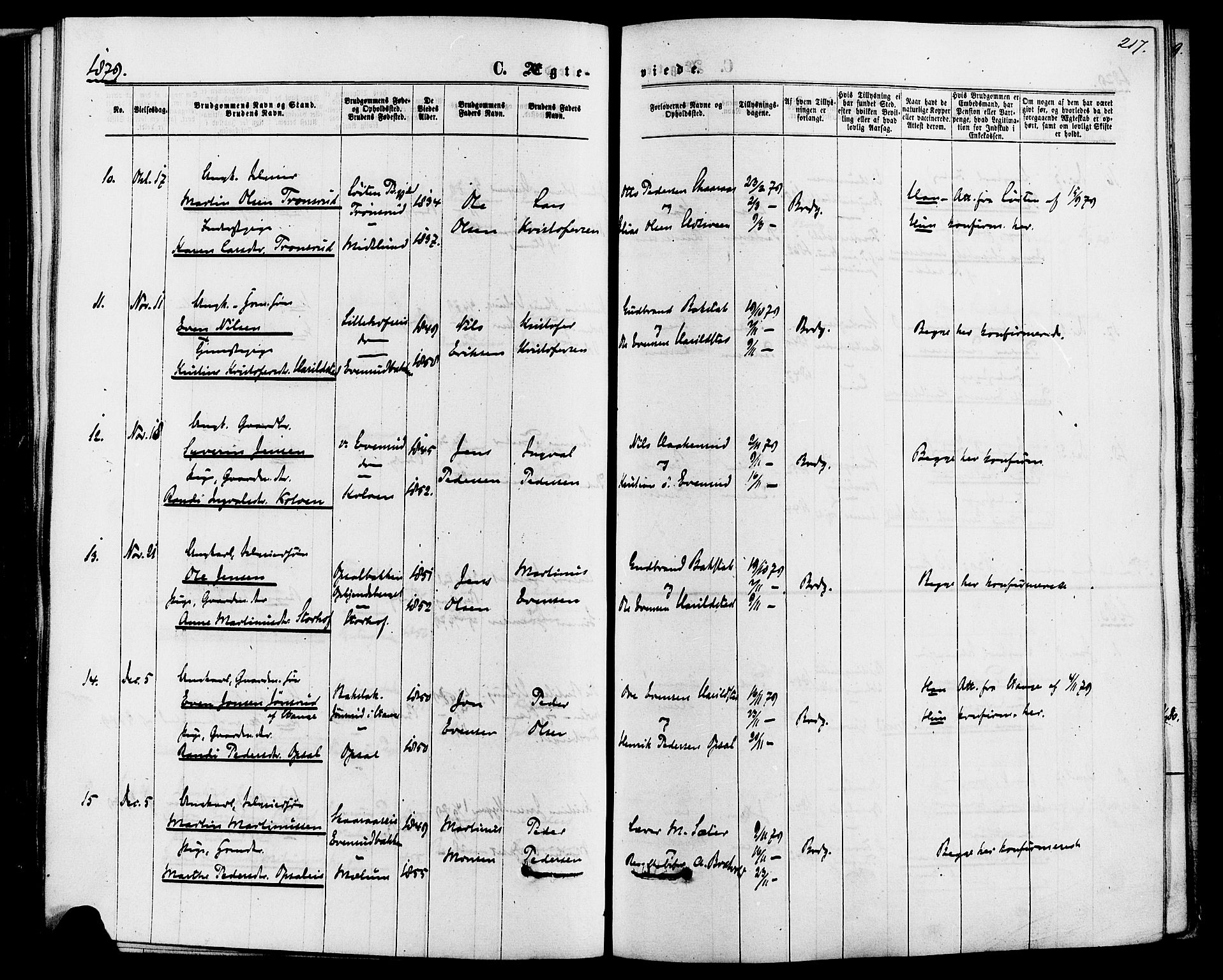 Romedal prestekontor, SAH/PREST-004/K/L0006: Parish register (official) no. 6, 1866-1886, p. 217