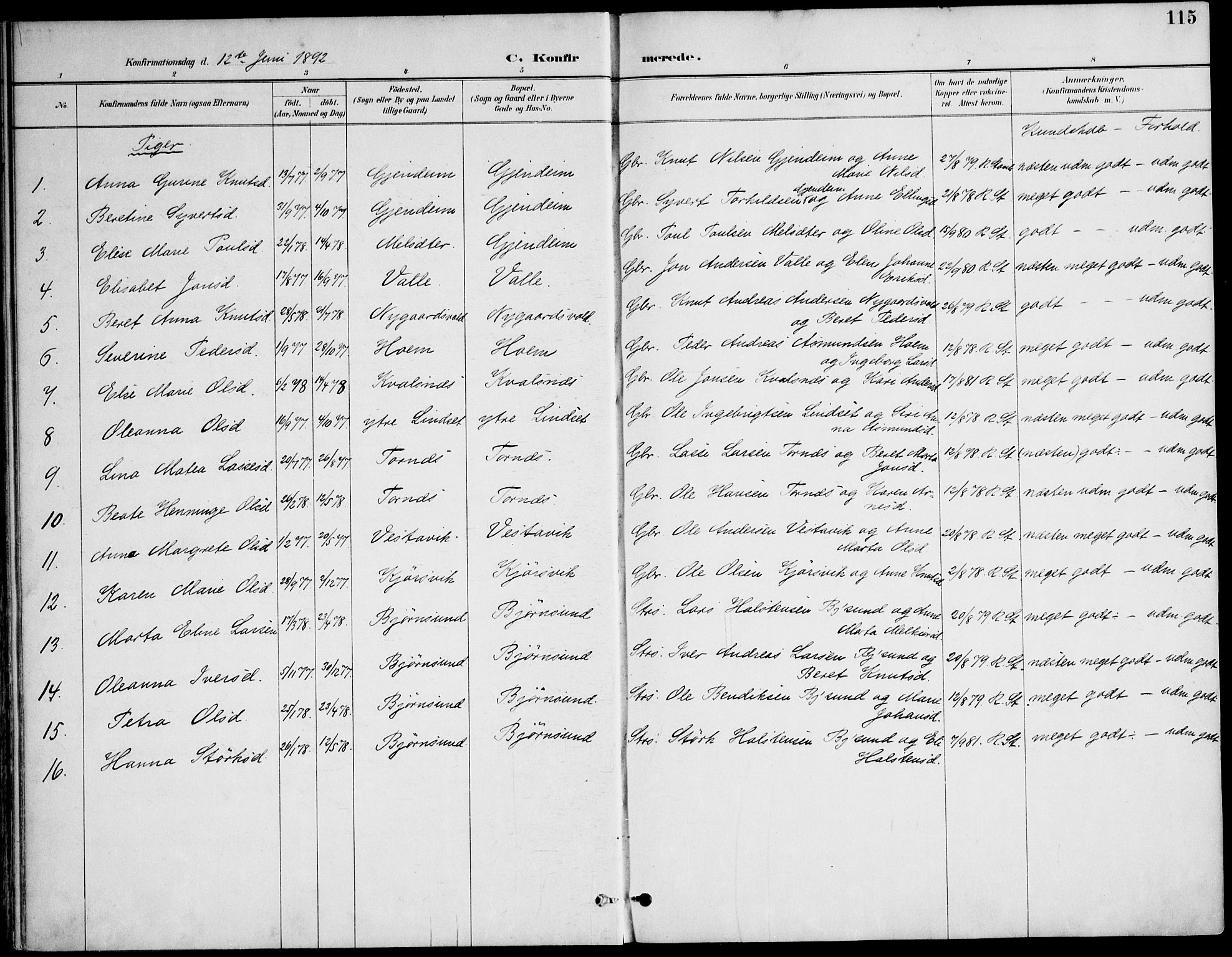 Ministerialprotokoller, klokkerbøker og fødselsregistre - Møre og Romsdal, AV/SAT-A-1454/565/L0750: Parish register (official) no. 565A04, 1887-1905, p. 115