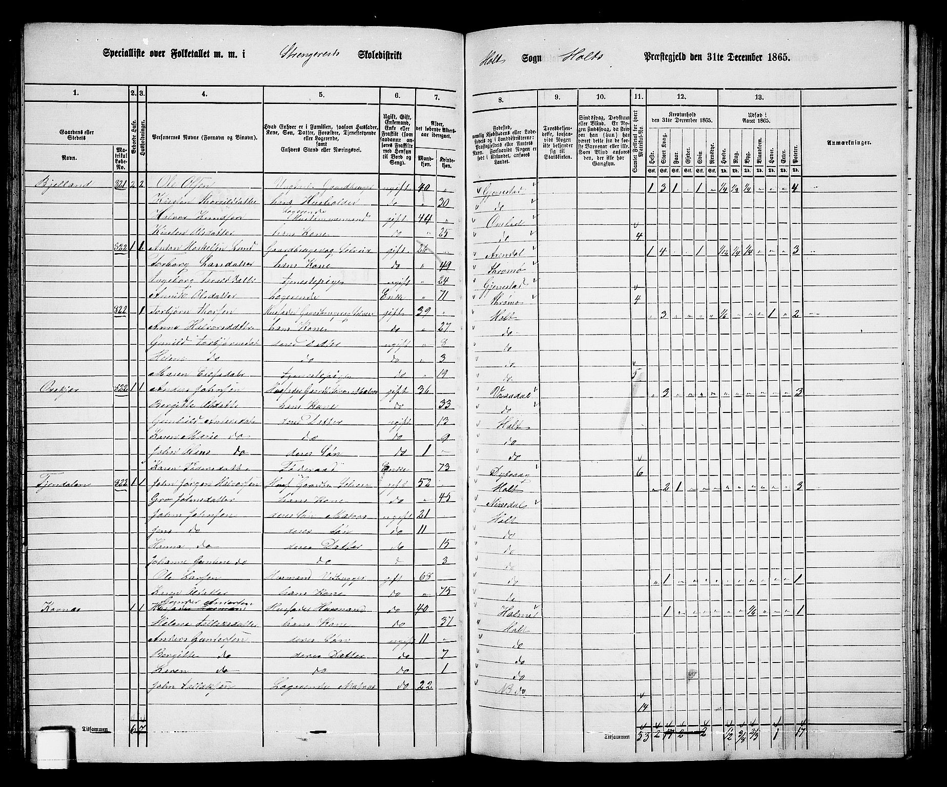 RA, 1865 census for Holt/Holt, 1865, p. 71