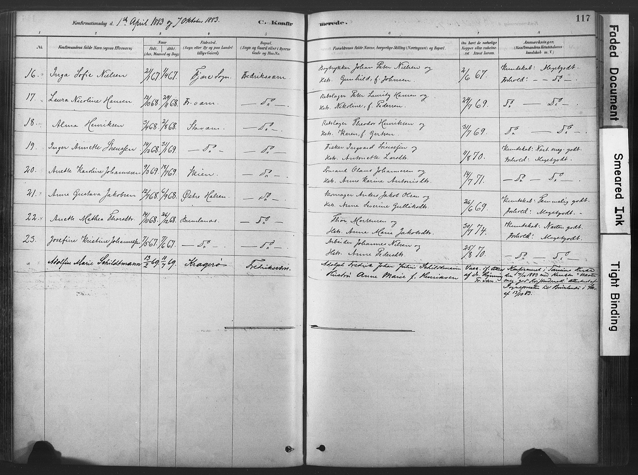 Stavern kirkebøker, AV/SAKO-A-318/F/Fa/L0008: Parish register (official) no. 8, 1878-1905, p. 117