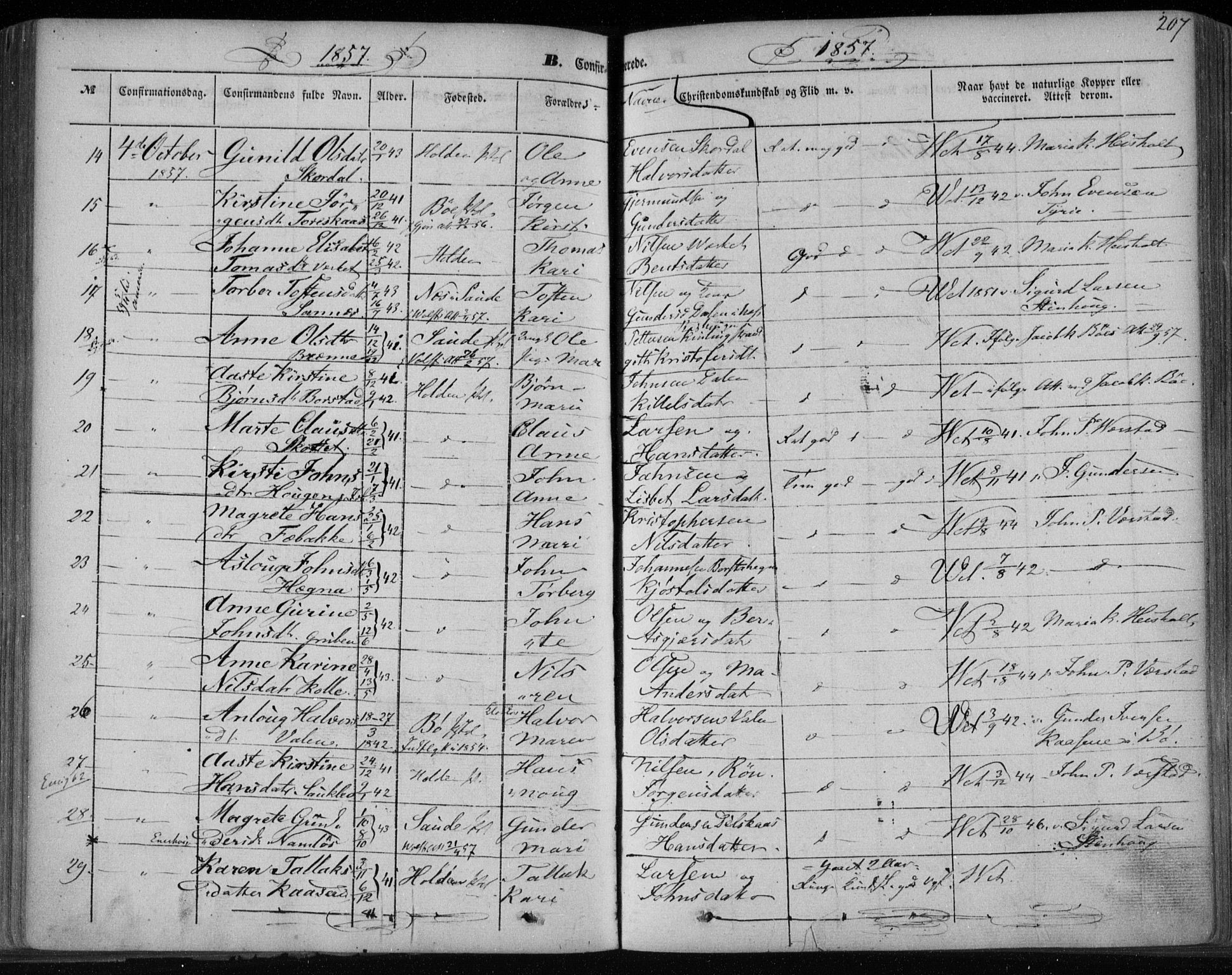 Holla kirkebøker, SAKO/A-272/F/Fa/L0005: Parish register (official) no. 5, 1849-1860, p. 207