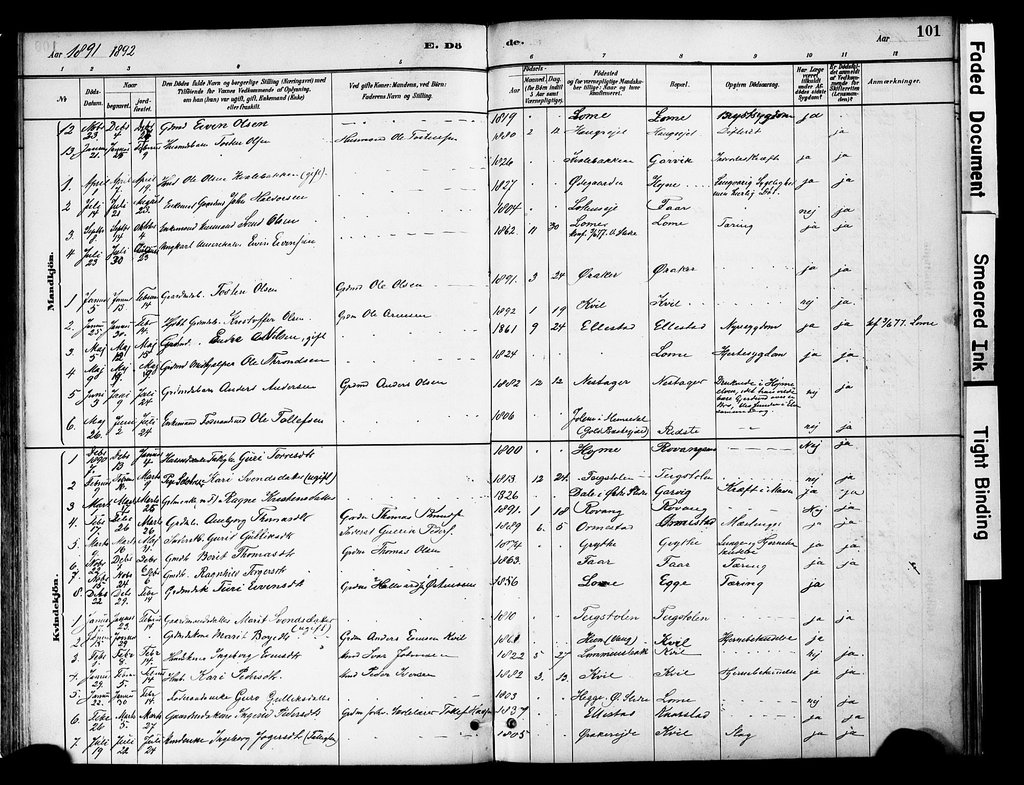 Vestre Slidre prestekontor, SAH/PREST-136/H/Ha/Haa/L0005: Parish register (official) no. 5, 1881-1912, p. 101