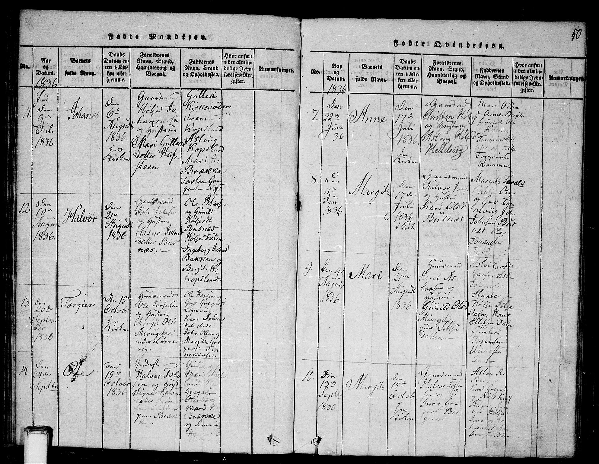 Gransherad kirkebøker, SAKO/A-267/G/Ga/L0001: Parish register (copy) no. I 1, 1815-1842, p. 50