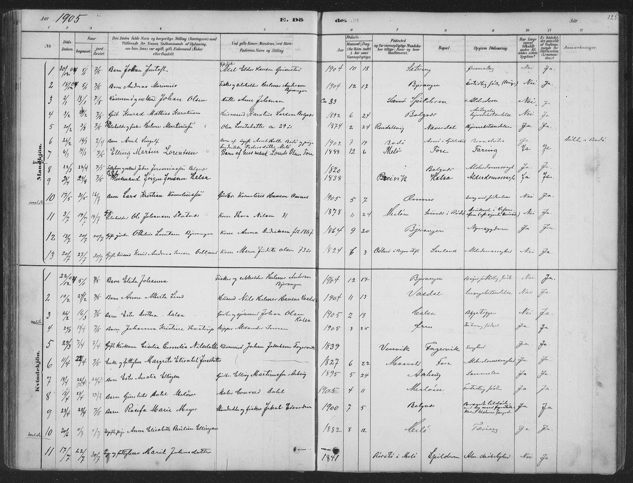 Ministerialprotokoller, klokkerbøker og fødselsregistre - Nordland, SAT/A-1459/843/L0627: Parish register (official) no. 843A02, 1878-1908, p. 125