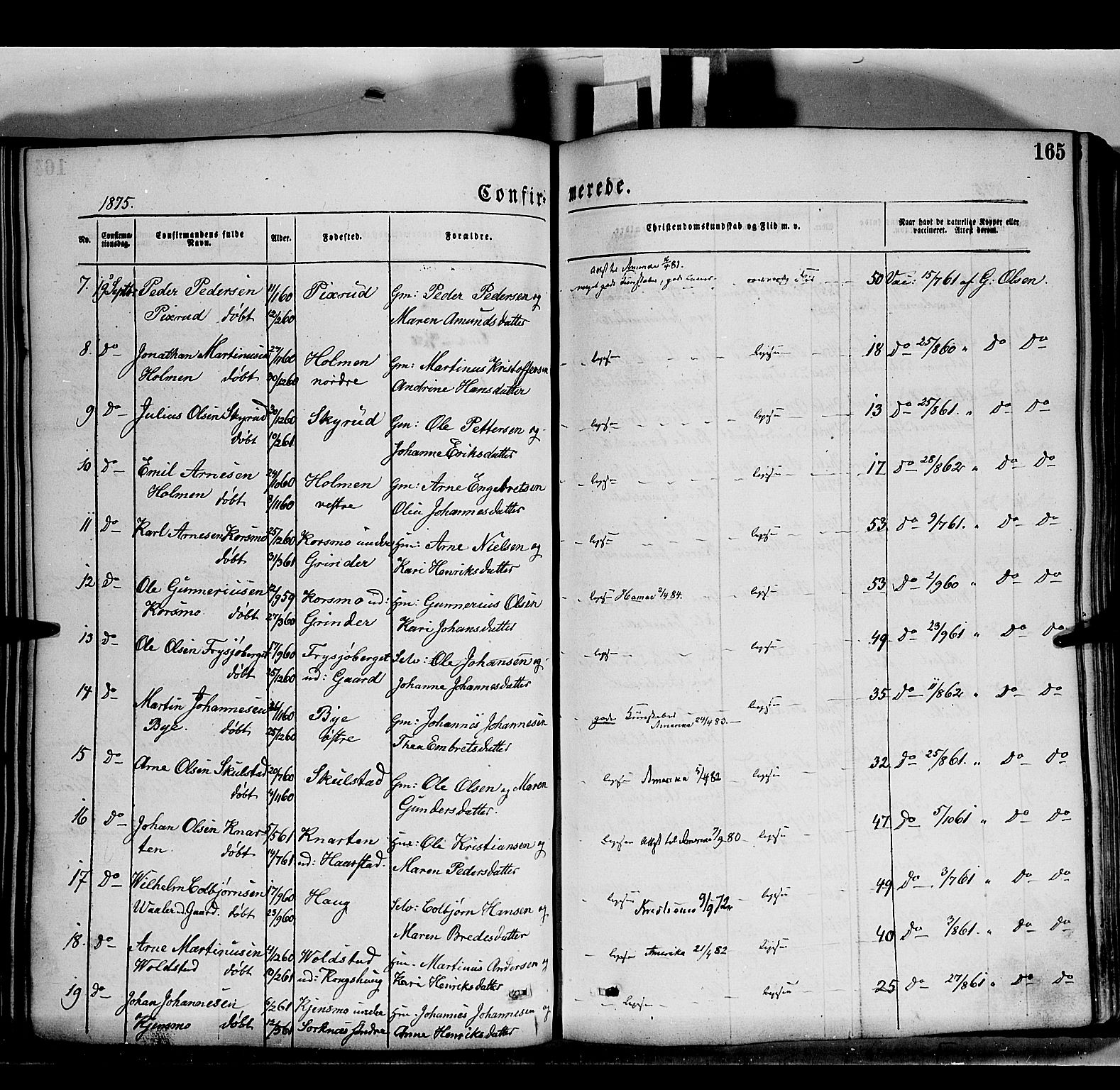 Grue prestekontor, AV/SAH-PREST-036/H/Ha/Haa/L0011: Parish register (official) no. 11, 1873-1880, p. 165