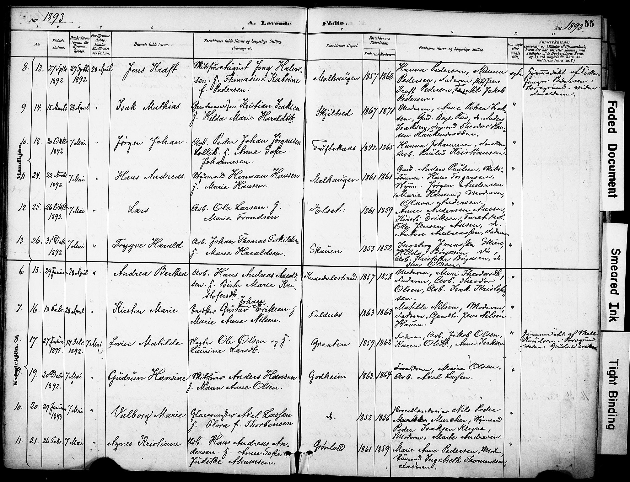 Solum kirkebøker, SAKO/A-306/F/Fa/L0010: Parish register (official) no. I 10, 1888-1898, p. 55