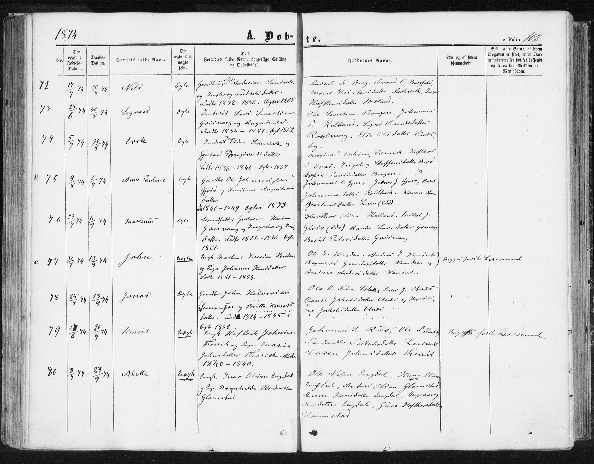Ministerialprotokoller, klokkerbøker og fødselsregistre - Møre og Romsdal, AV/SAT-A-1454/578/L0905: Parish register (official) no. 578A04, 1859-1877, p. 102