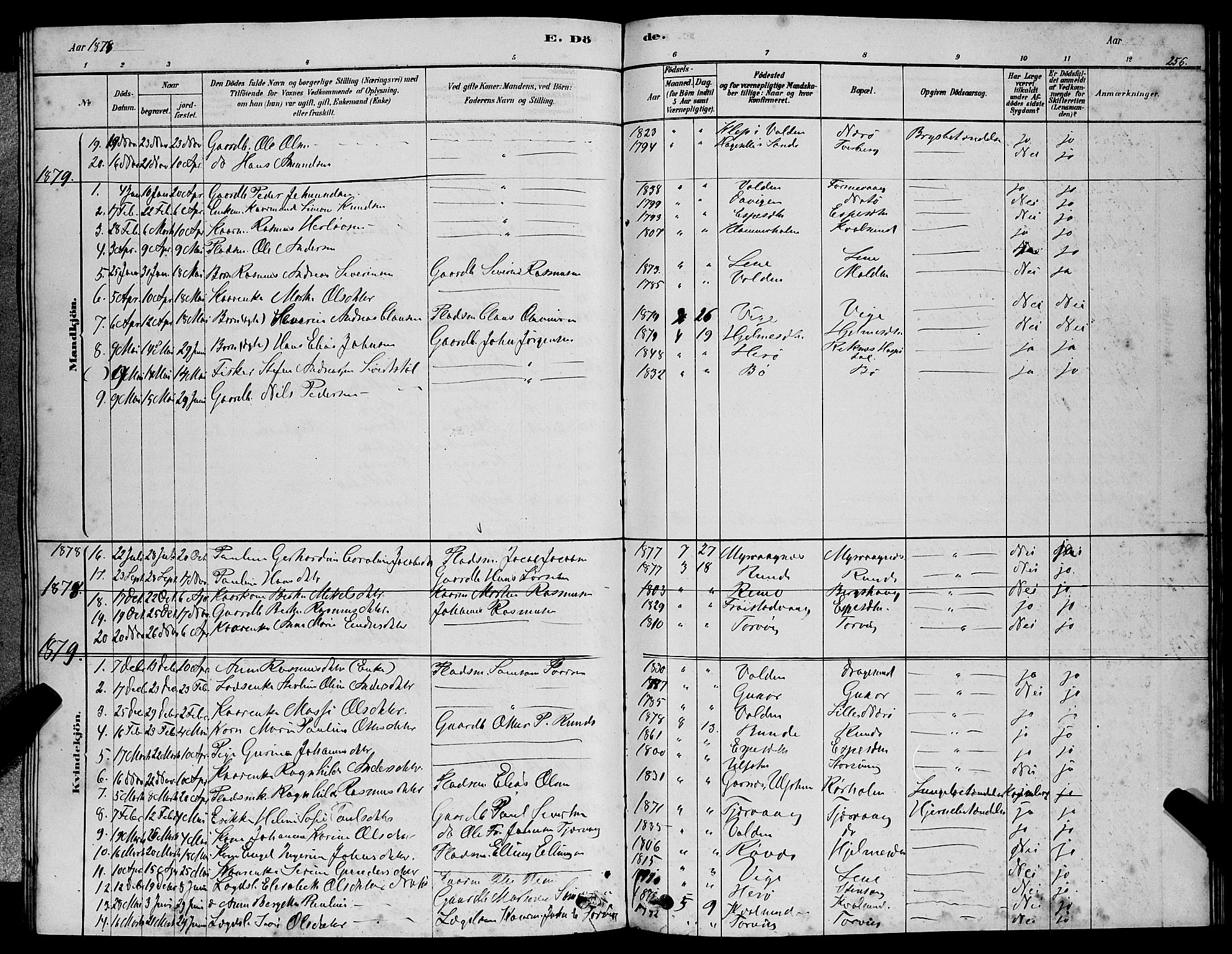 Ministerialprotokoller, klokkerbøker og fødselsregistre - Møre og Romsdal, SAT/A-1454/507/L0081: Parish register (copy) no. 507C04, 1878-1898, p. 256