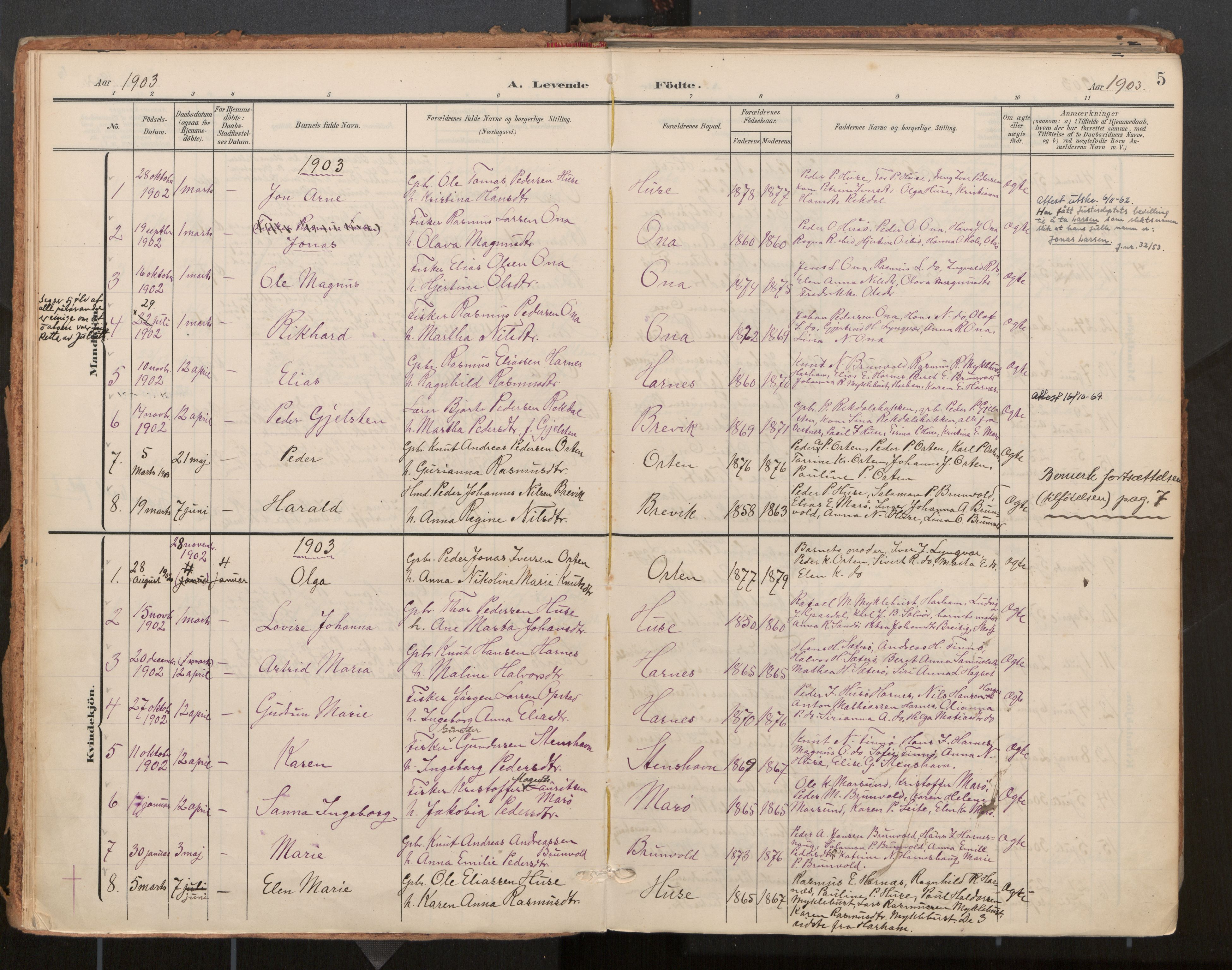 Ministerialprotokoller, klokkerbøker og fødselsregistre - Møre og Romsdal, AV/SAT-A-1454/561/L0730: Parish register (official) no. 561A04, 1901-1929, p. 5