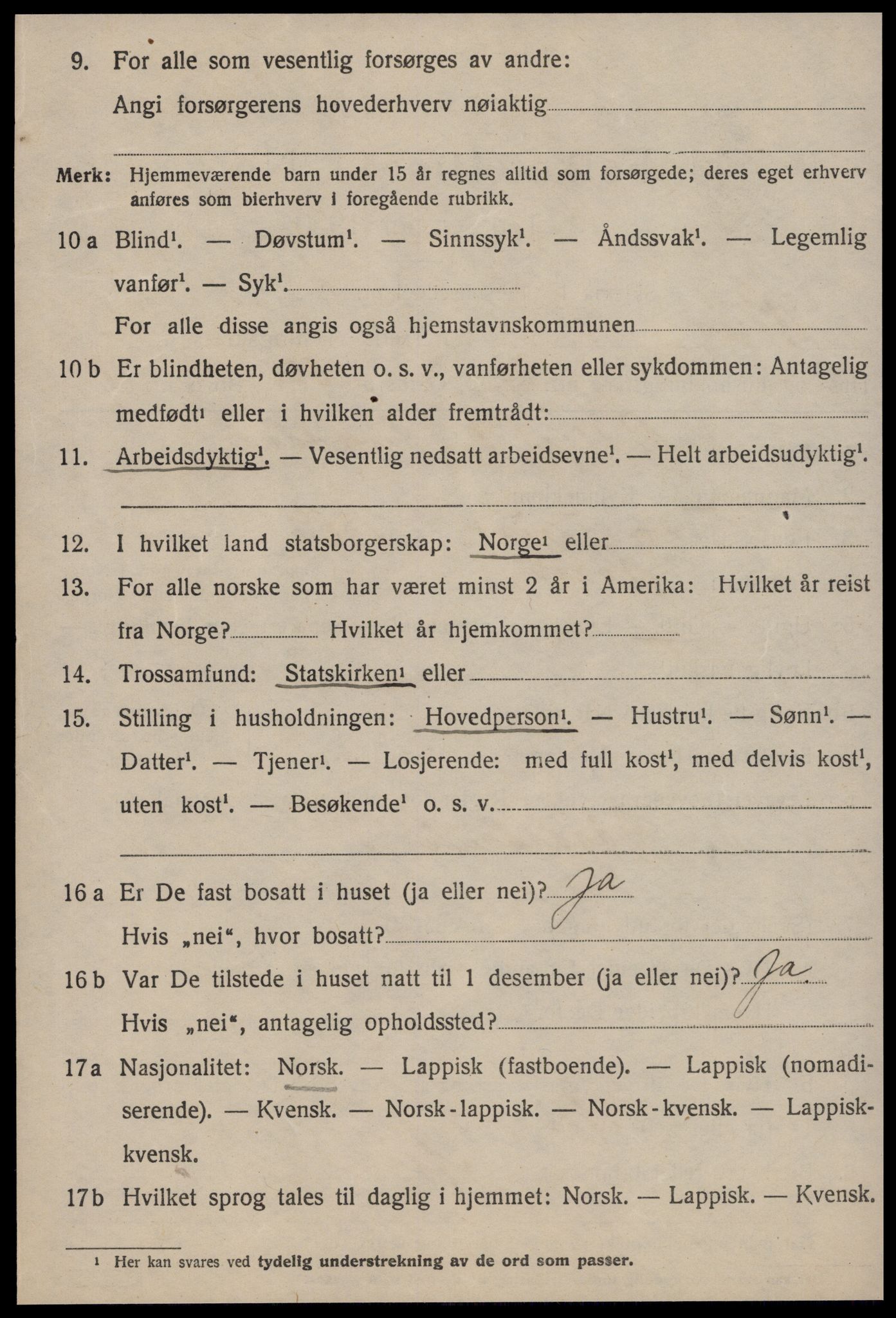 SAT, 1920 census for Røros, 1920, p. 9377