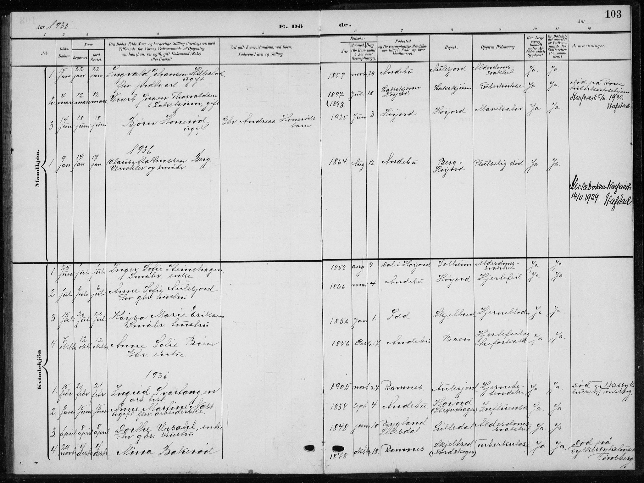 Andebu kirkebøker, AV/SAKO-A-336/G/Gb/L0001: Parish register (copy) no. II 1, 1901-1936, p. 103