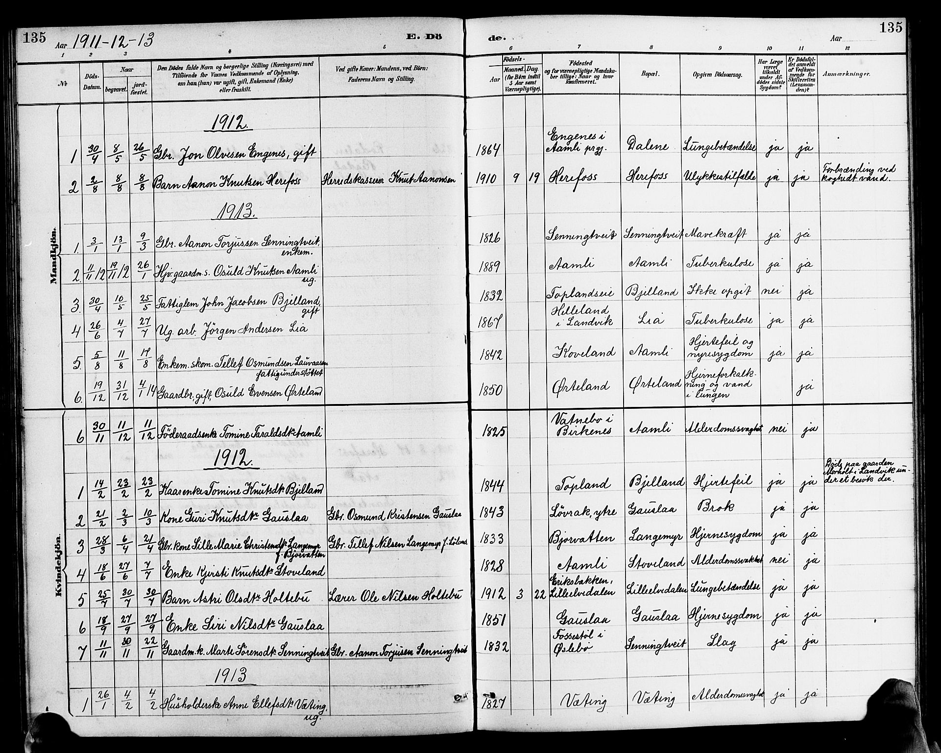 Herefoss sokneprestkontor, AV/SAK-1111-0019/F/Fb/Fba/L0003: Parish register (copy) no. B 3, 1887-1925, p. 135