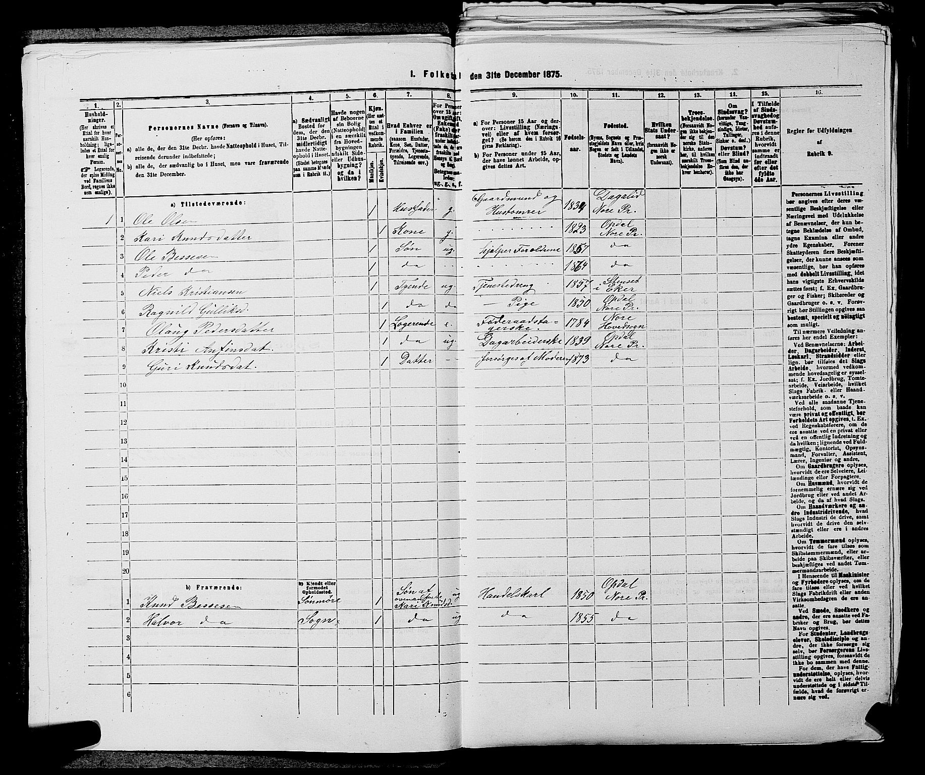 SAKO, 1875 census for 0633P Nore, 1875, p. 487