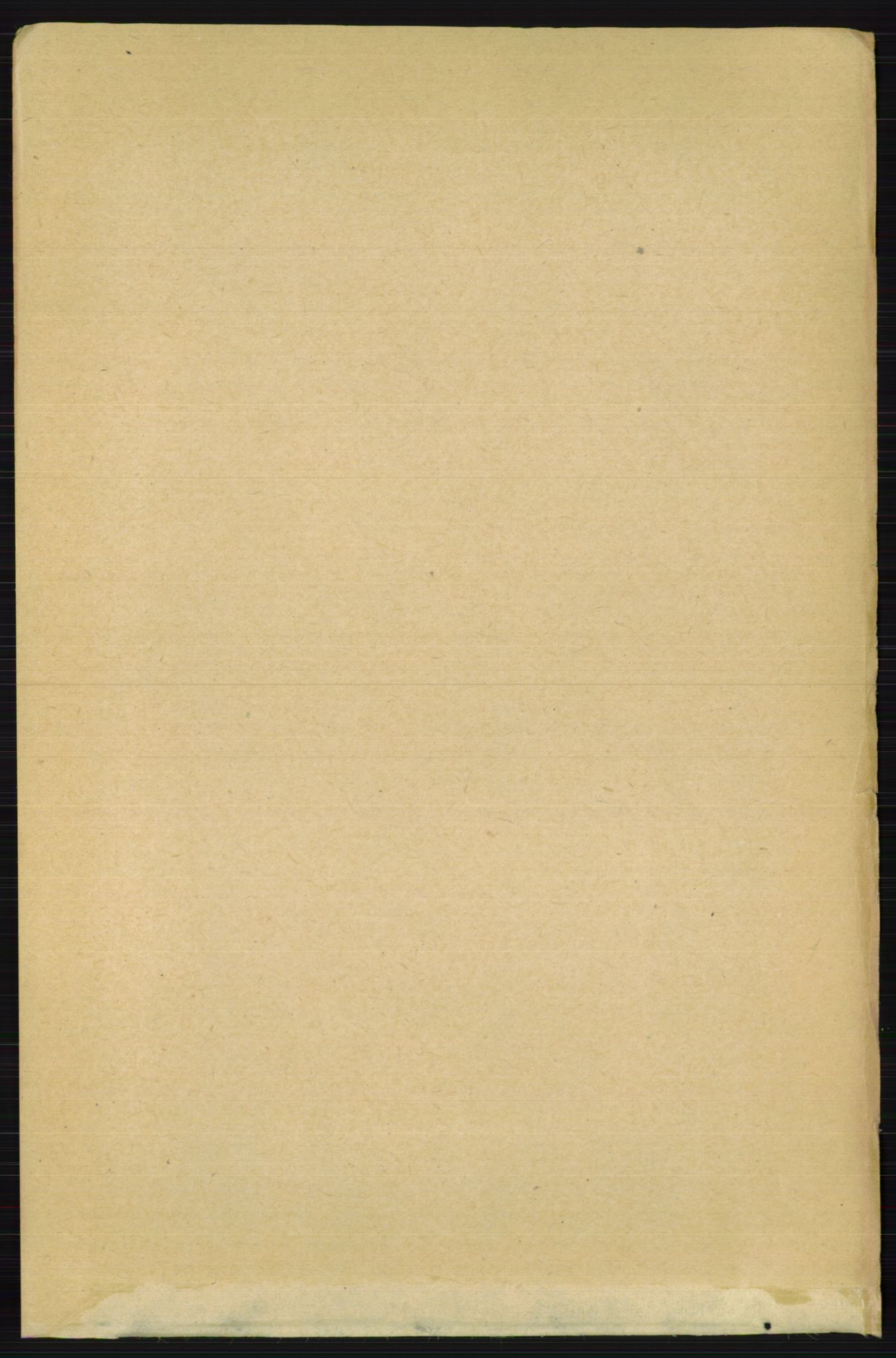 RA, 1891 census for 0236 Nes, 1891, p. 2262