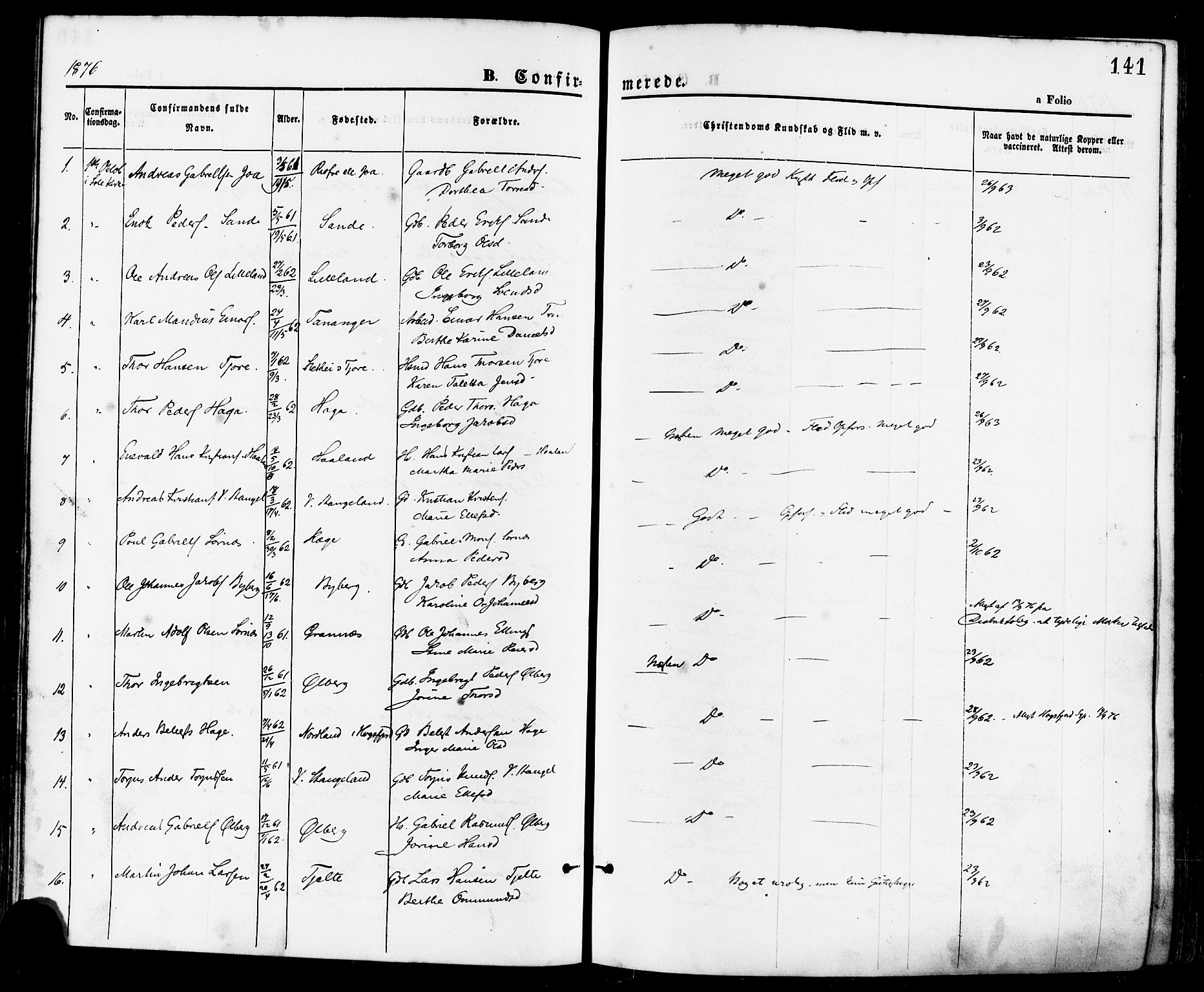 Håland sokneprestkontor, SAST/A-101802/001/30BA/L0009: Parish register (official) no. A 8, 1871-1882, p. 141